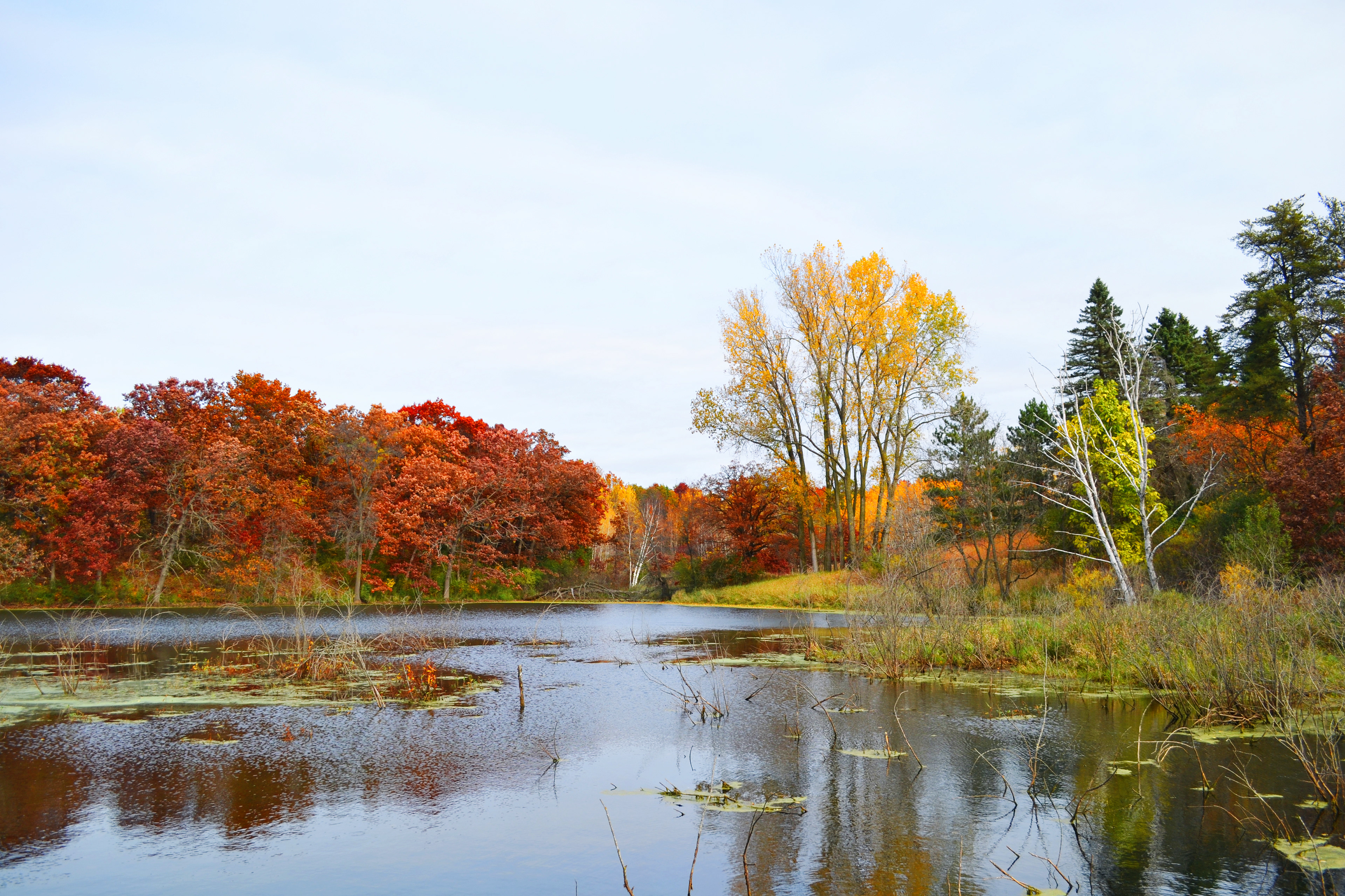 Lebanon Hill Regional Park