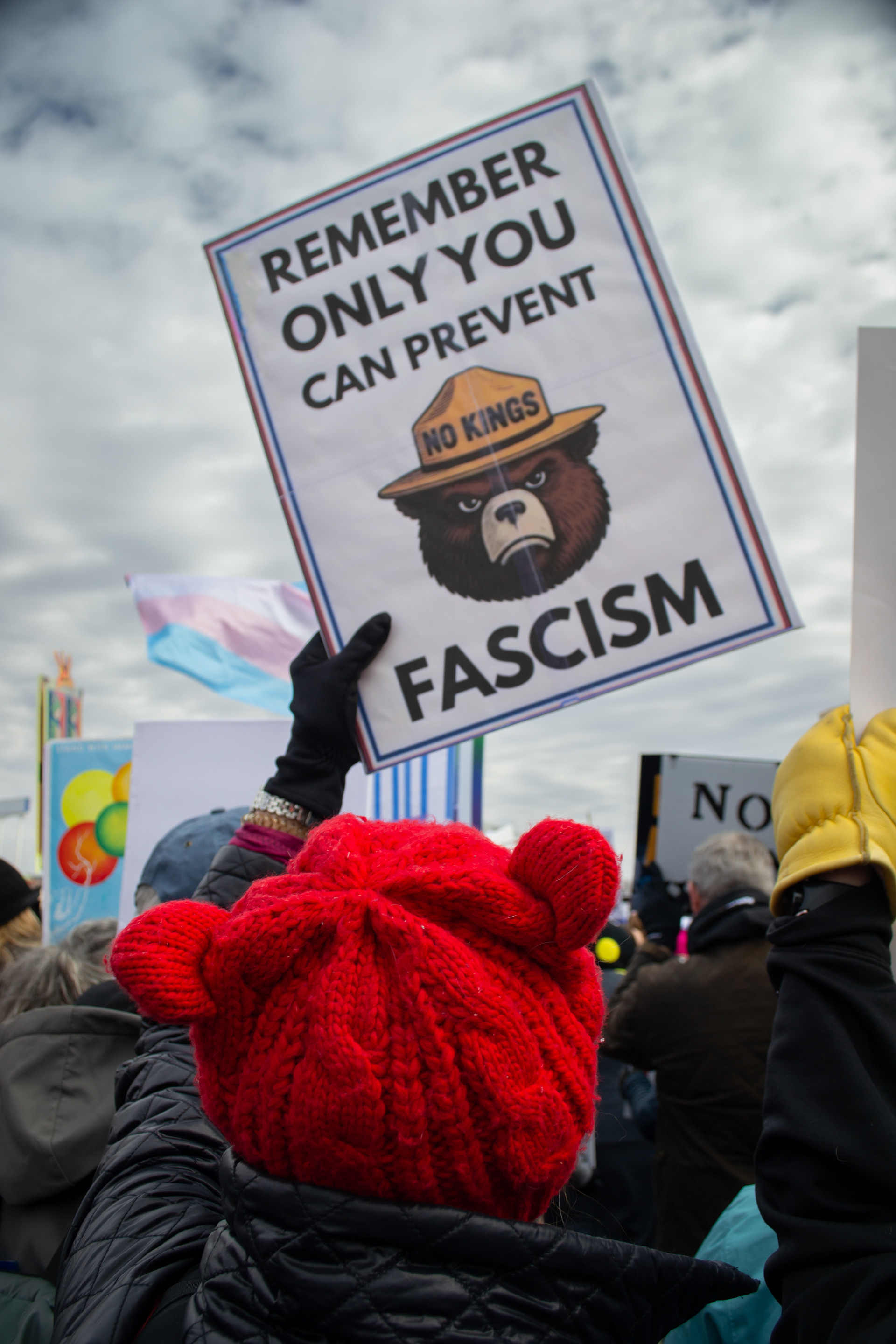 No Kings. St. Paul Minnesota.