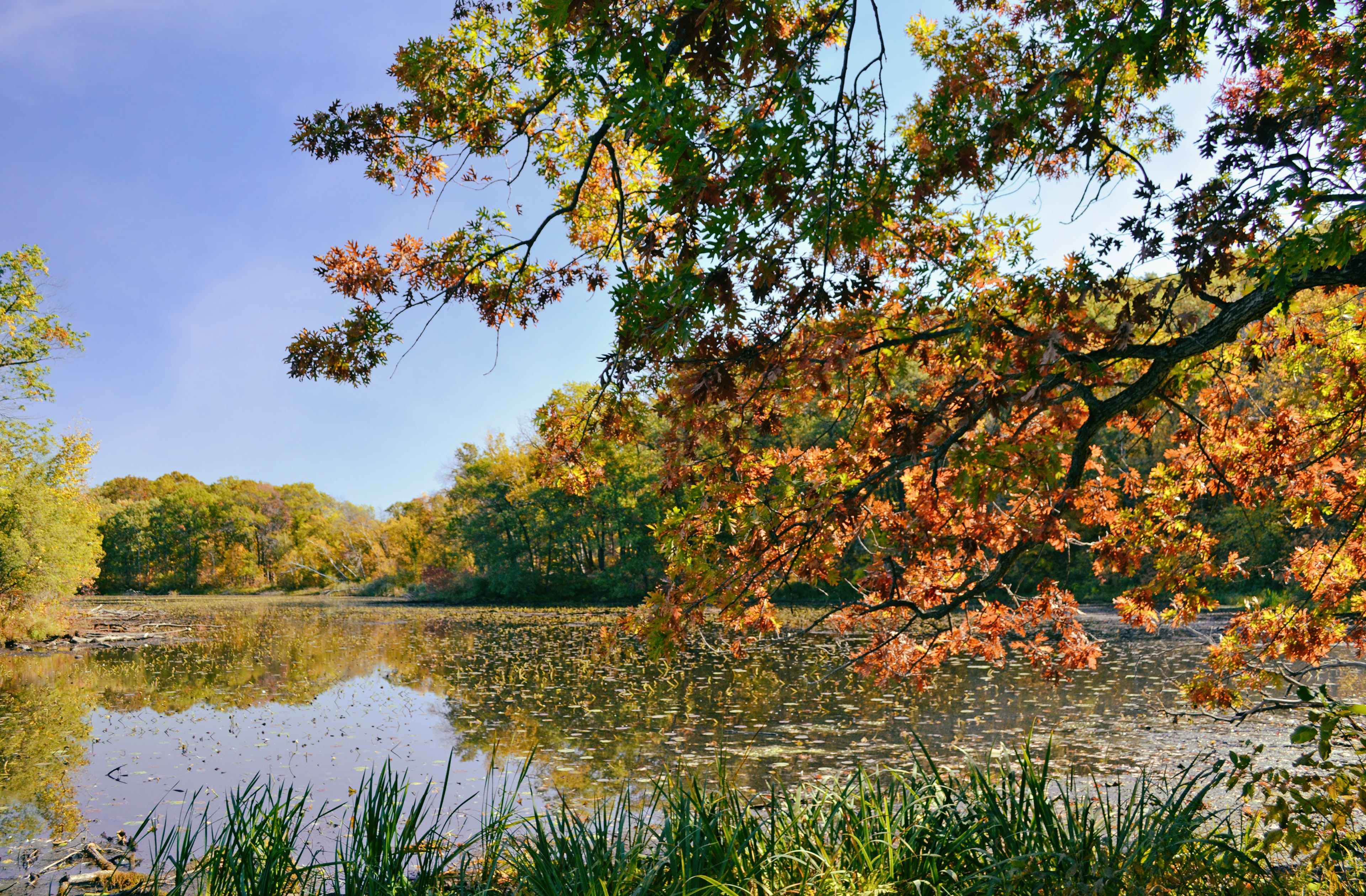 Lebanon Hills Regional Park