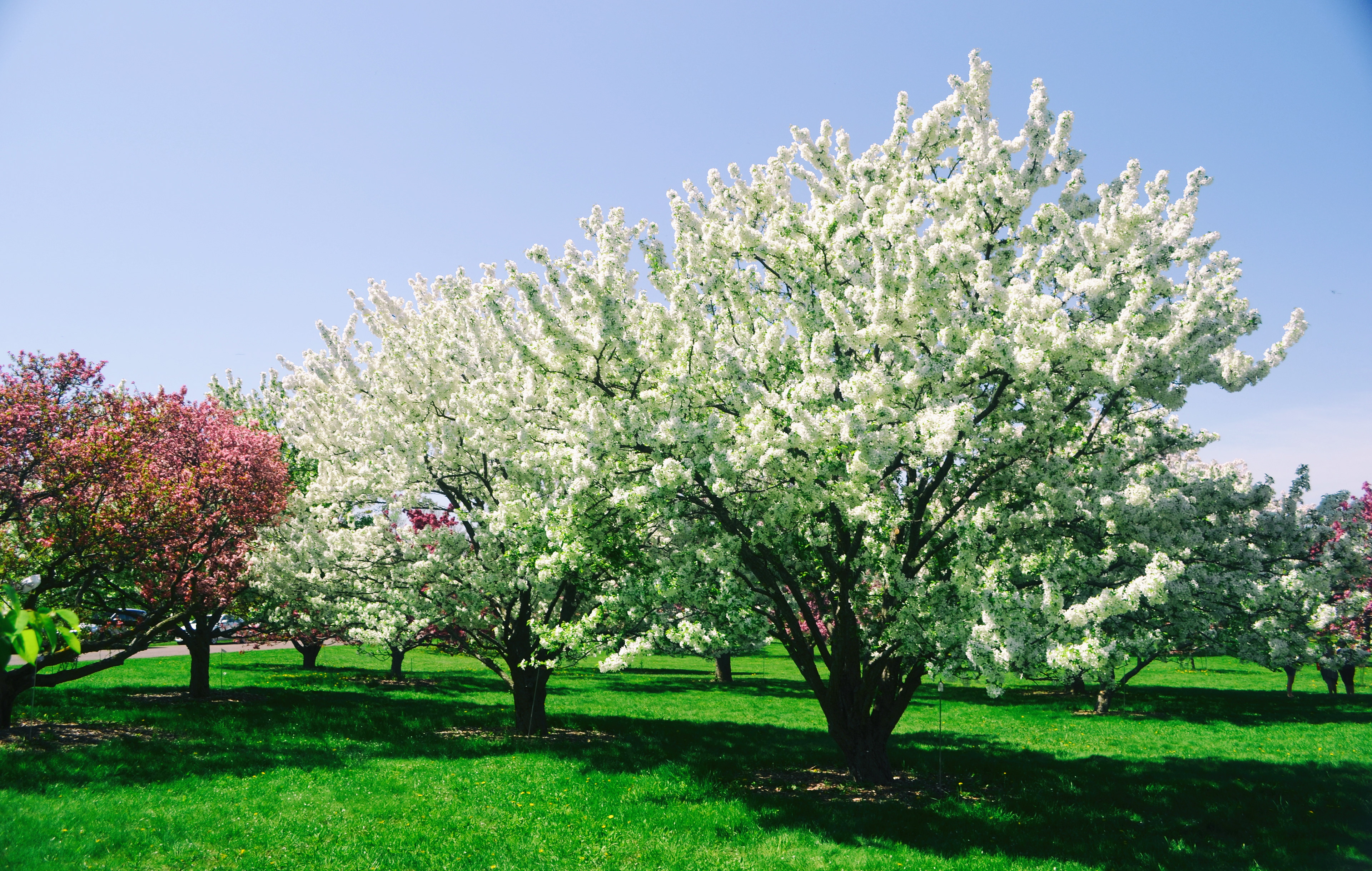 Minnesota Landscape Arboretum