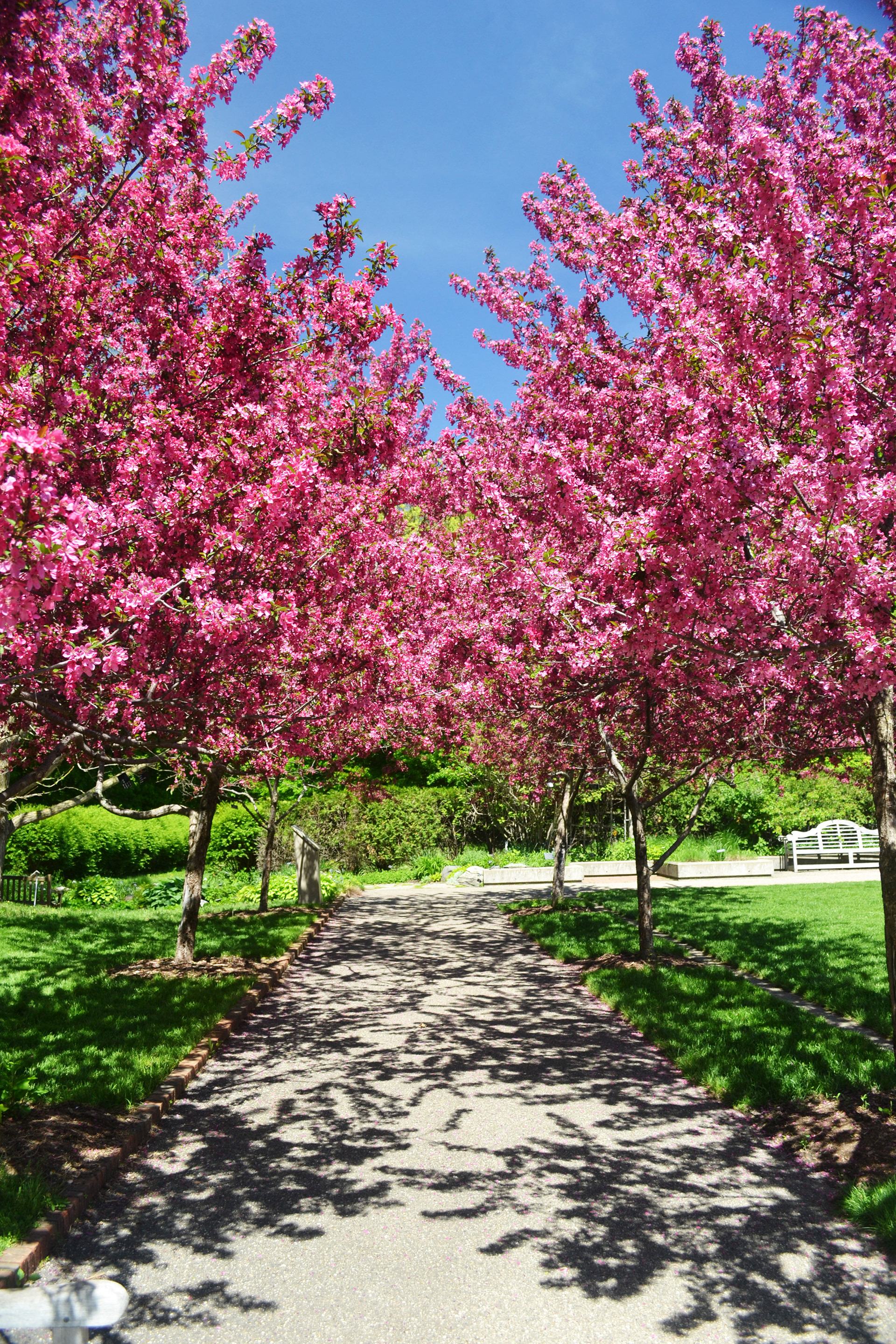 Minnesota Landscape Arboretum