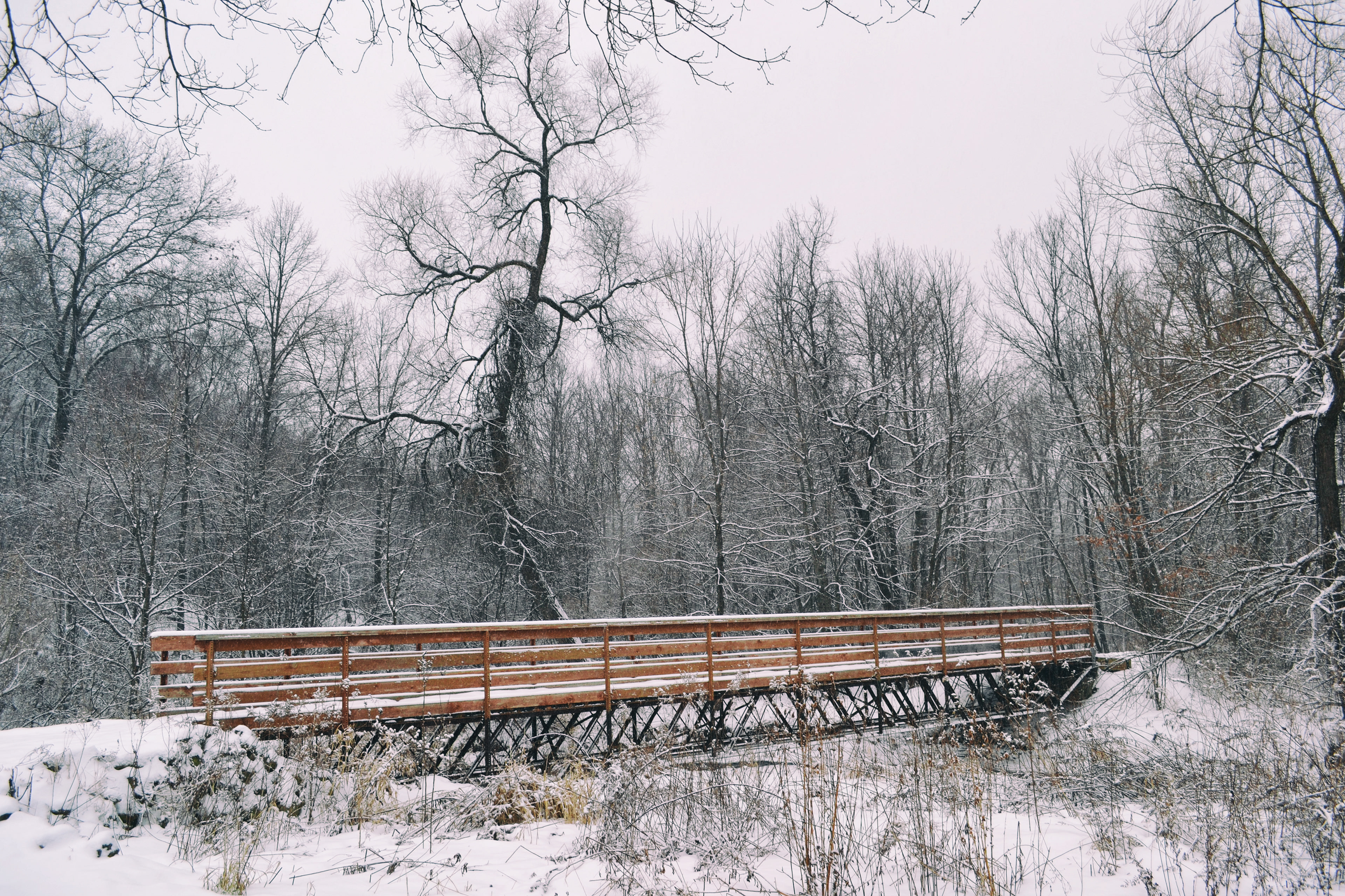 Hidden Valley Park. Savage, MN.
