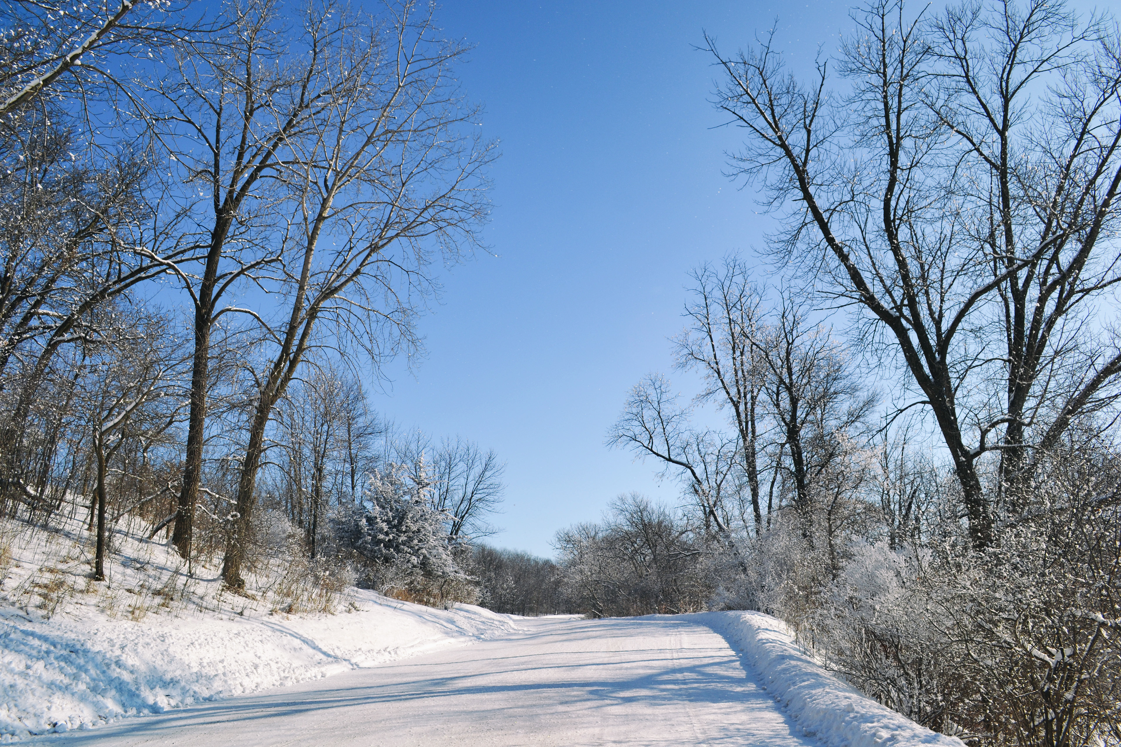 Murphy-Hanrehan Park Reserve