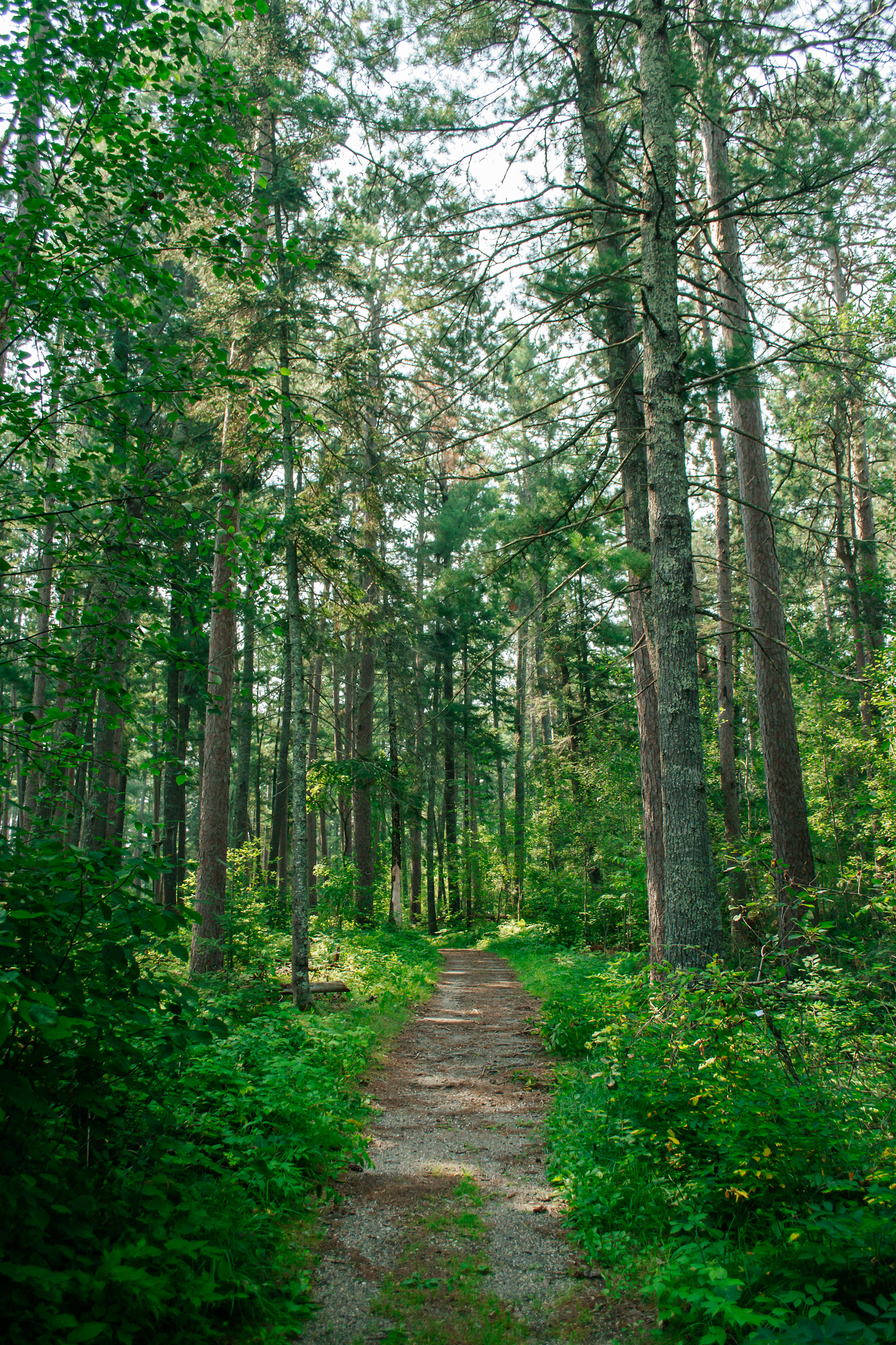 Itasca State Park.