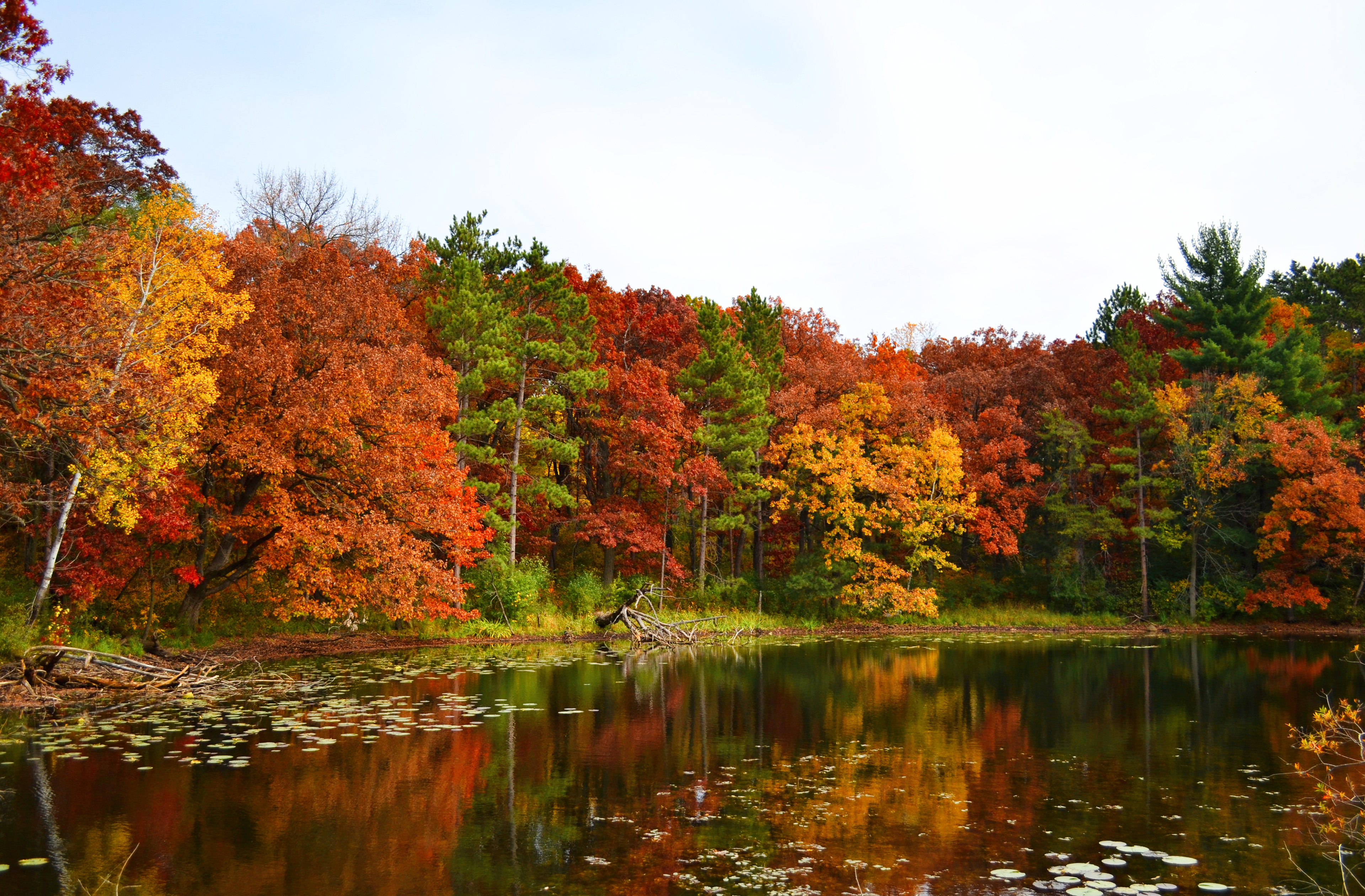 Lebanon Hills Regional Park