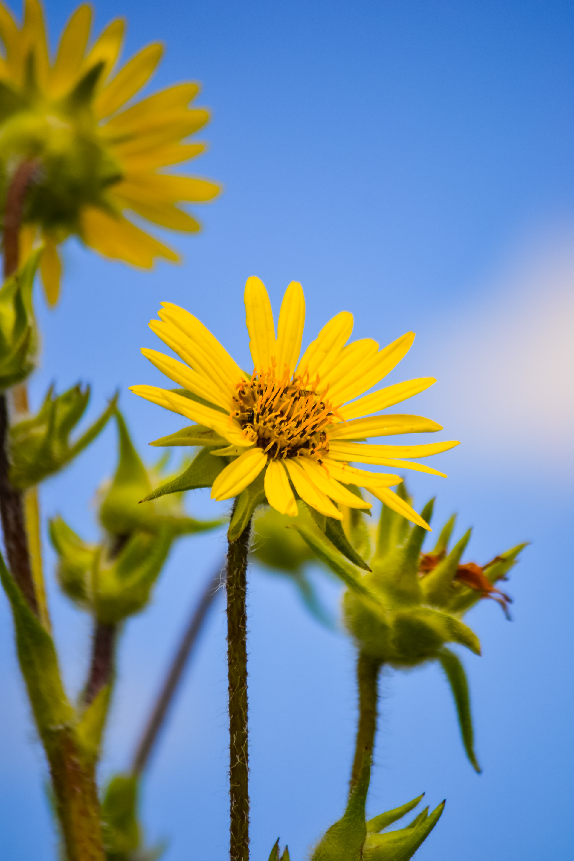 Doyle-Kennefick Regional Park