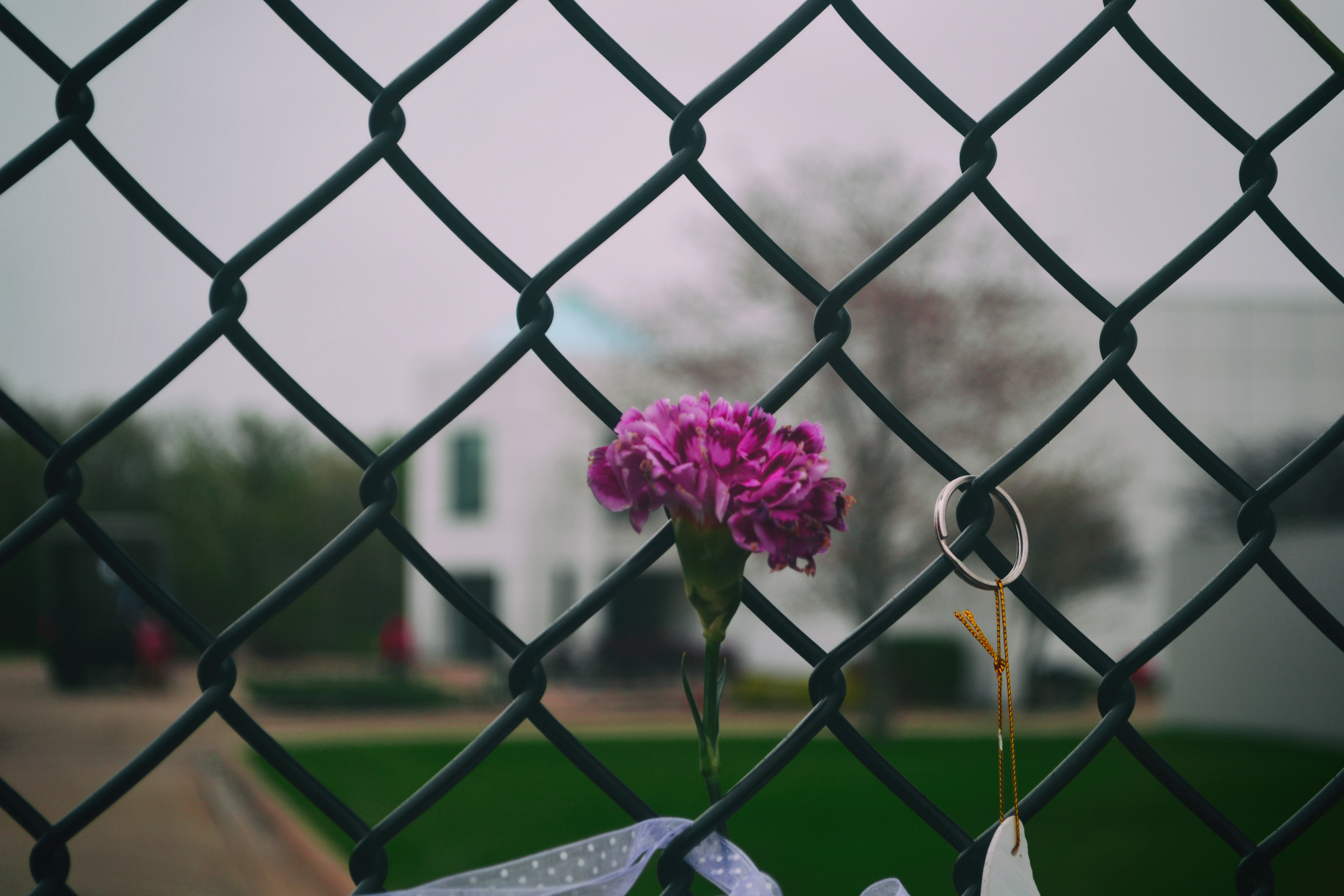 Paisley Park, Prince Memorial. 4/26/2016