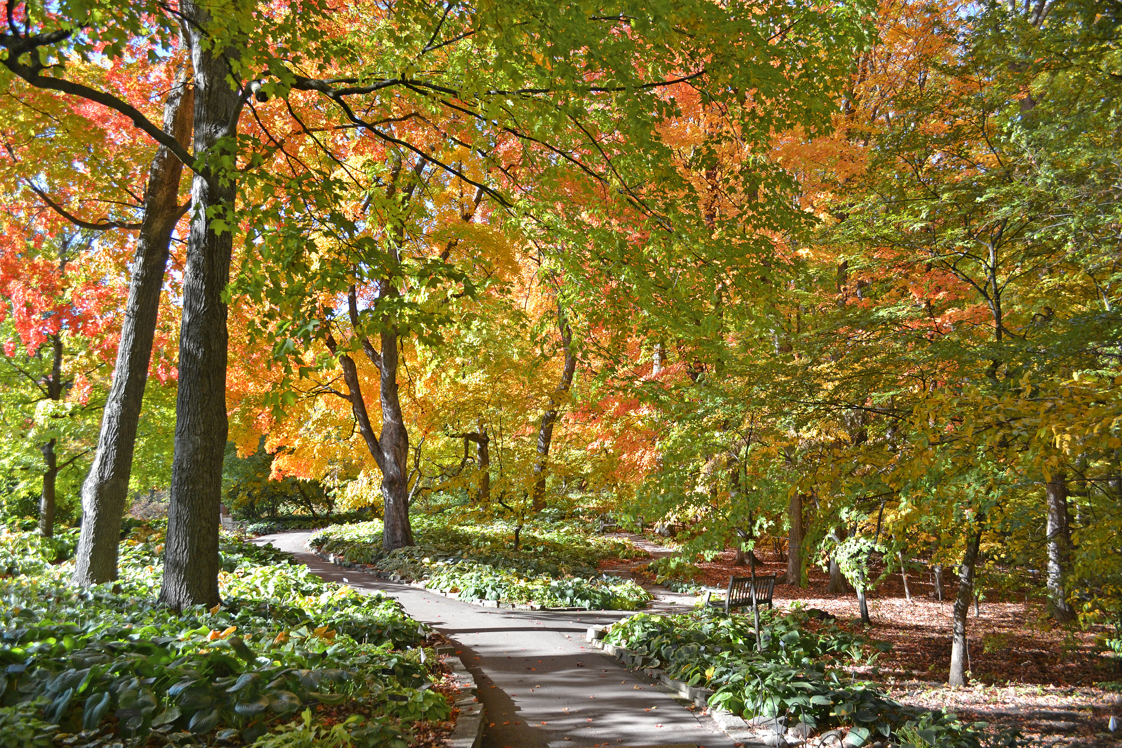 Minnesota Landscape Arboretum