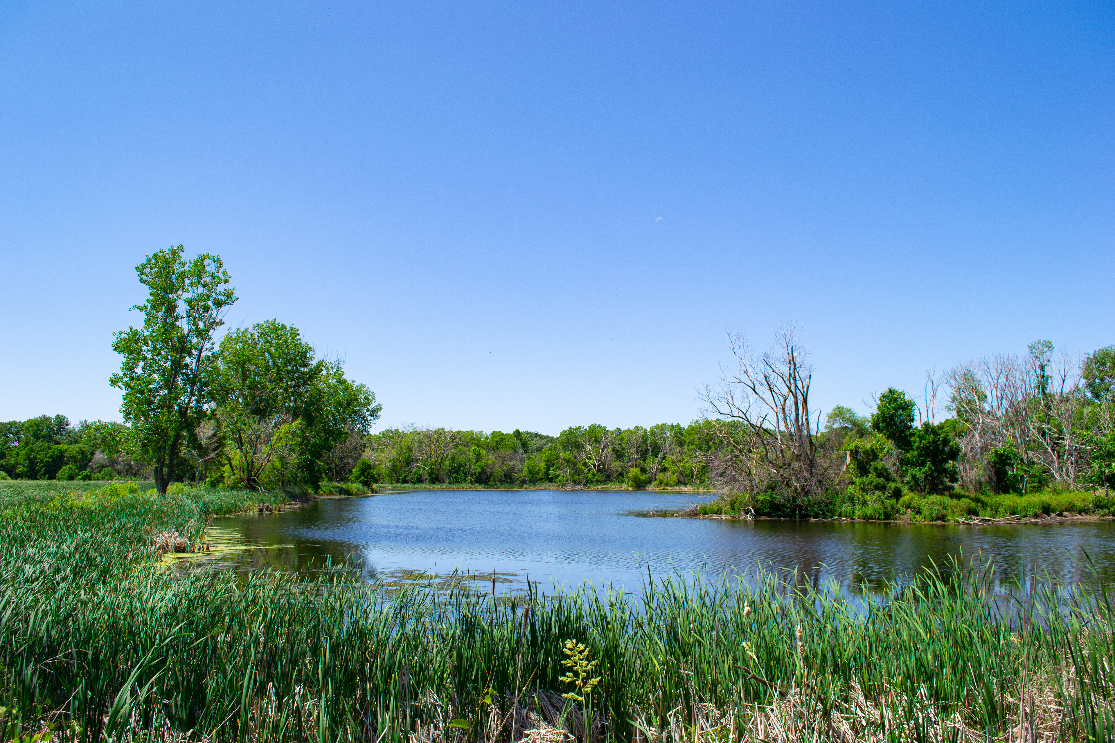 Woodlake Nature Center