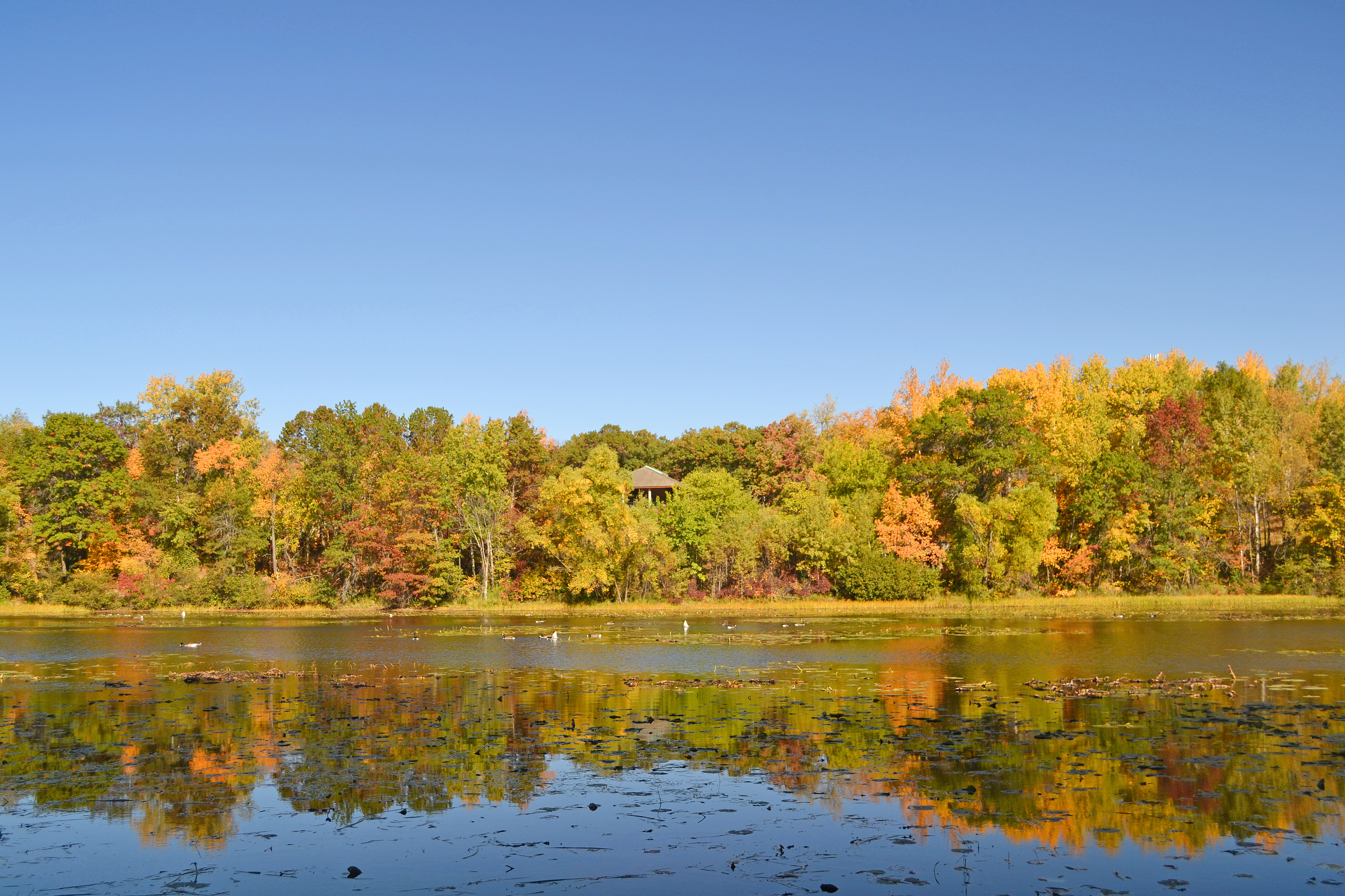 Lebanon Hills Regional Park