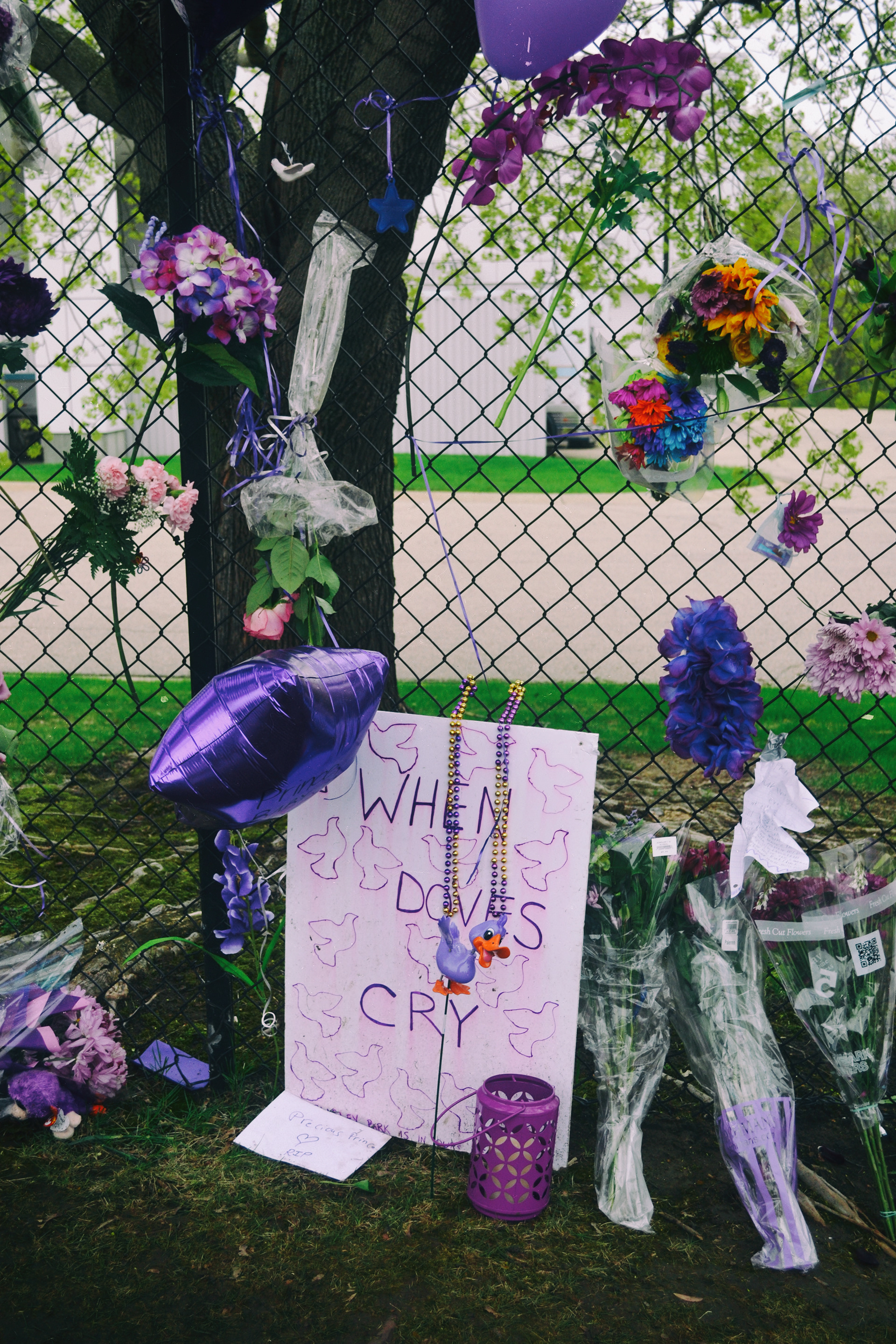 Paisley Park, Prince Memorial. 4/26/2016