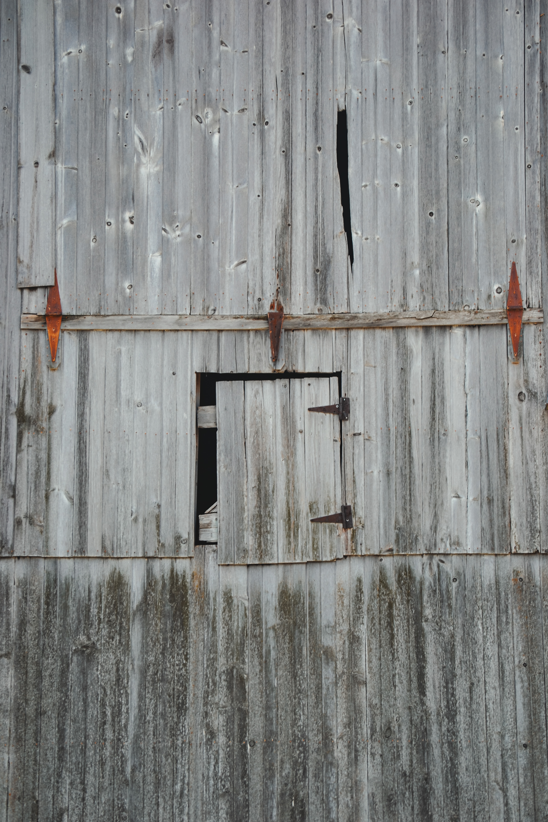 Doyle-Kennefick Regional Park