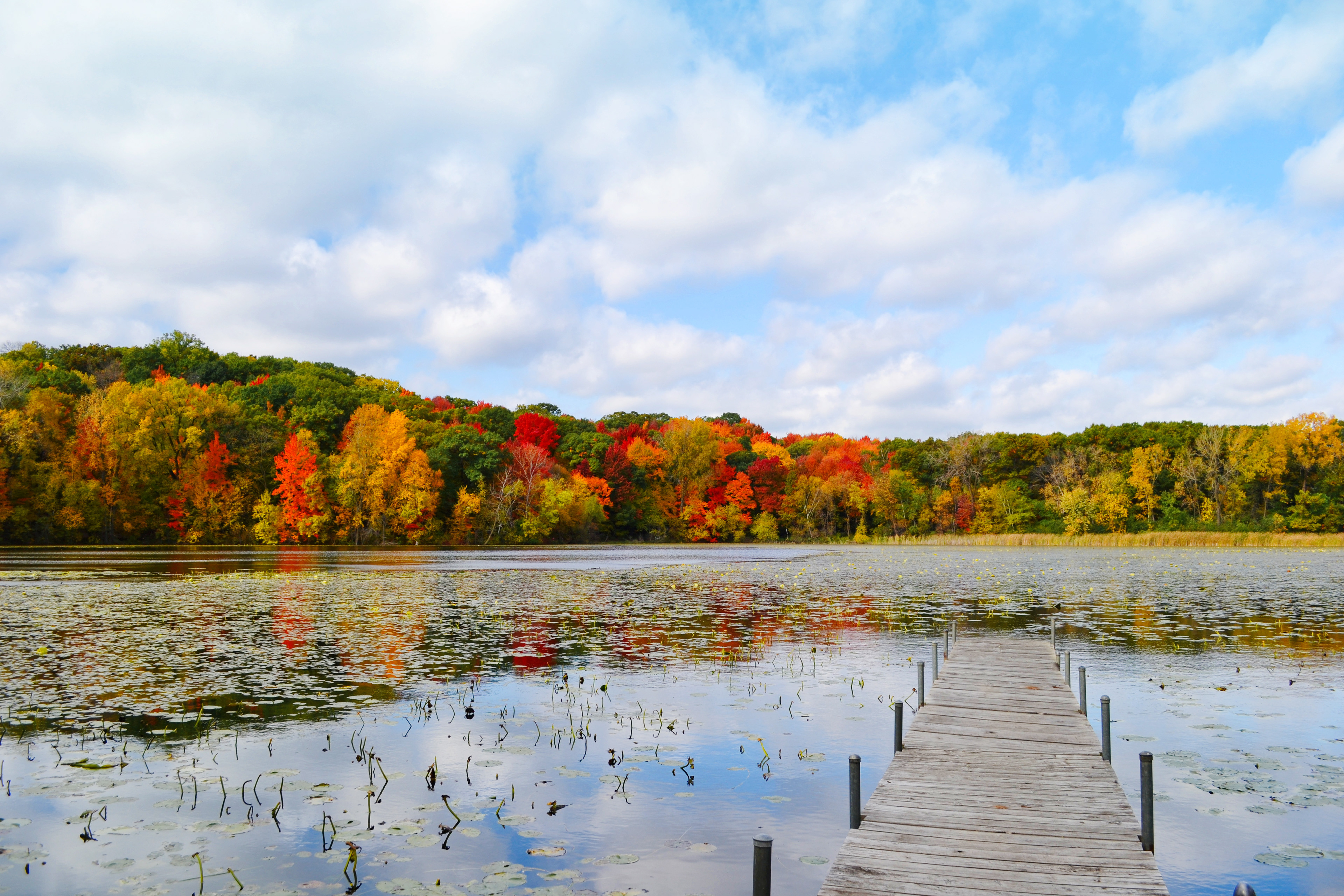 Lone Lake. Minnetonka, MN.