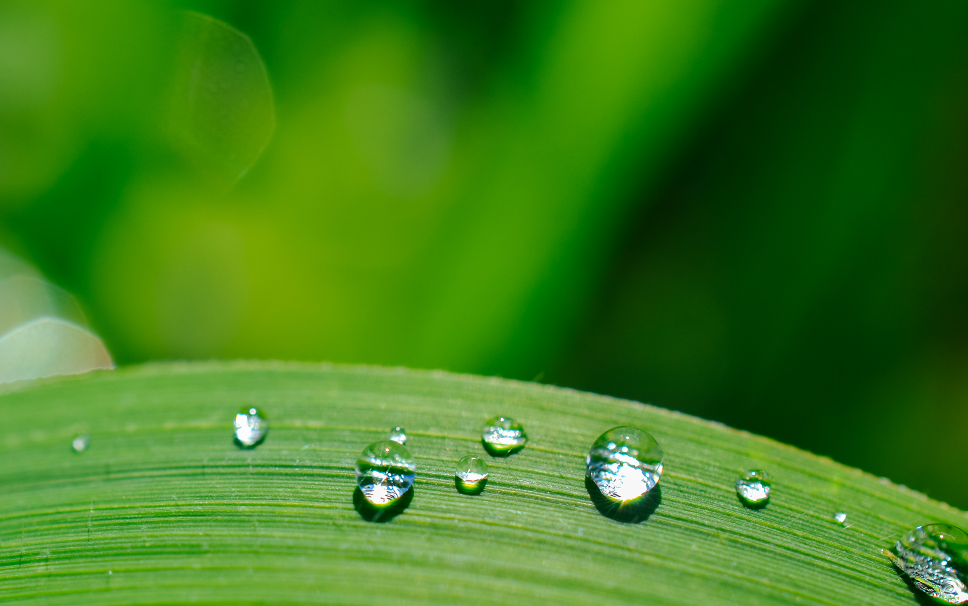Doyle-Kennefick Regional Park