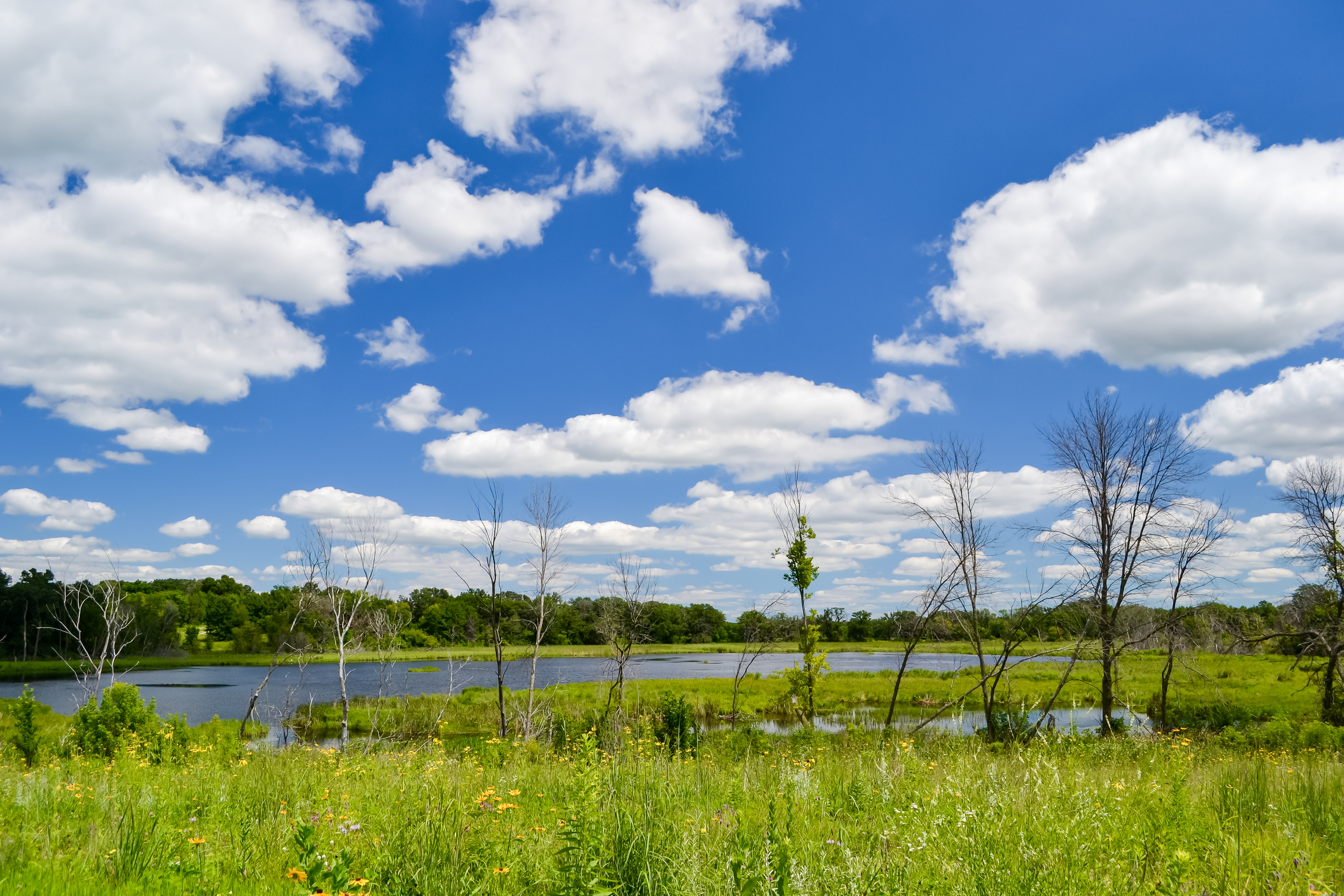 Doyle-Kennefick Regional Park