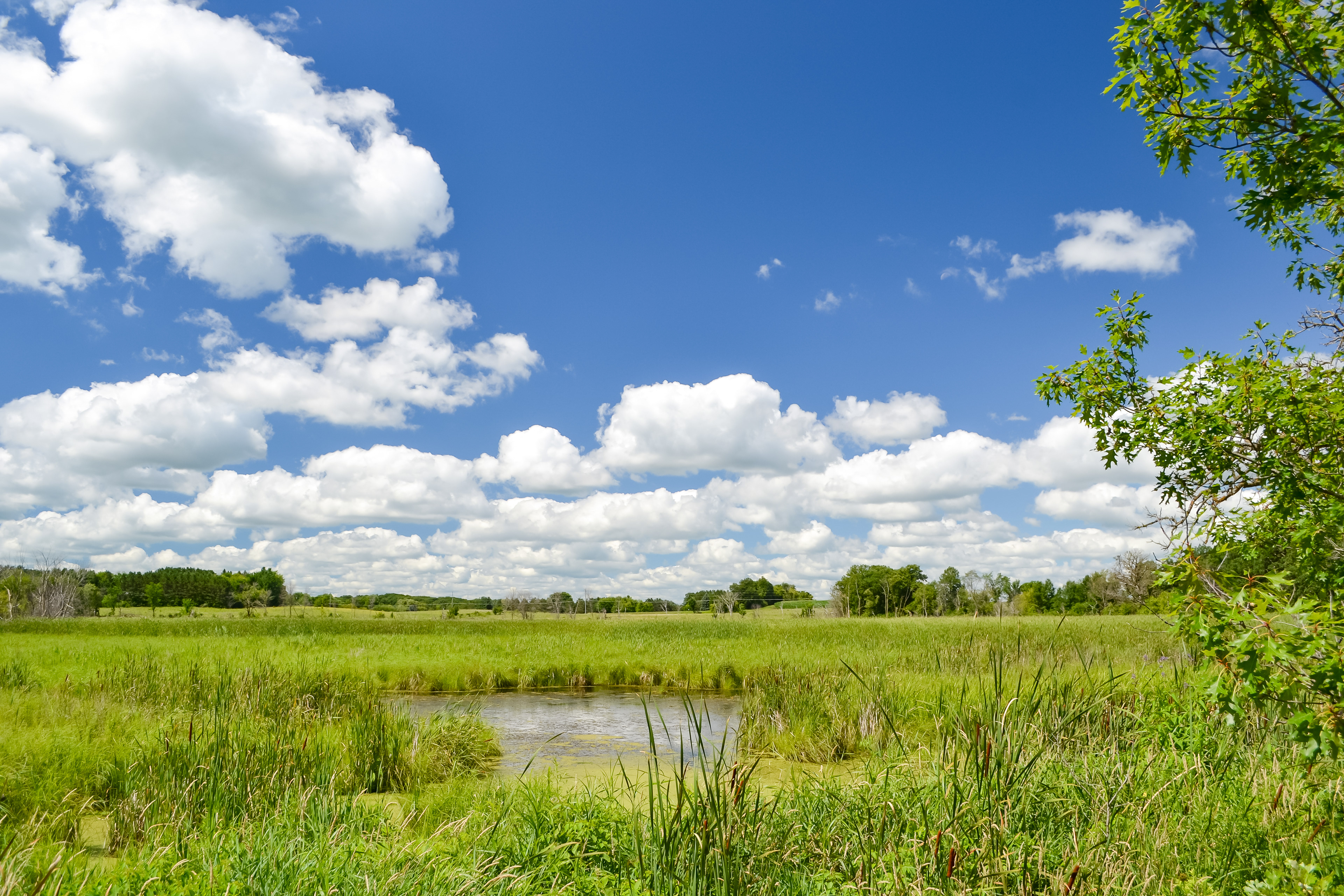 Doyle-Kennefick Regional Park