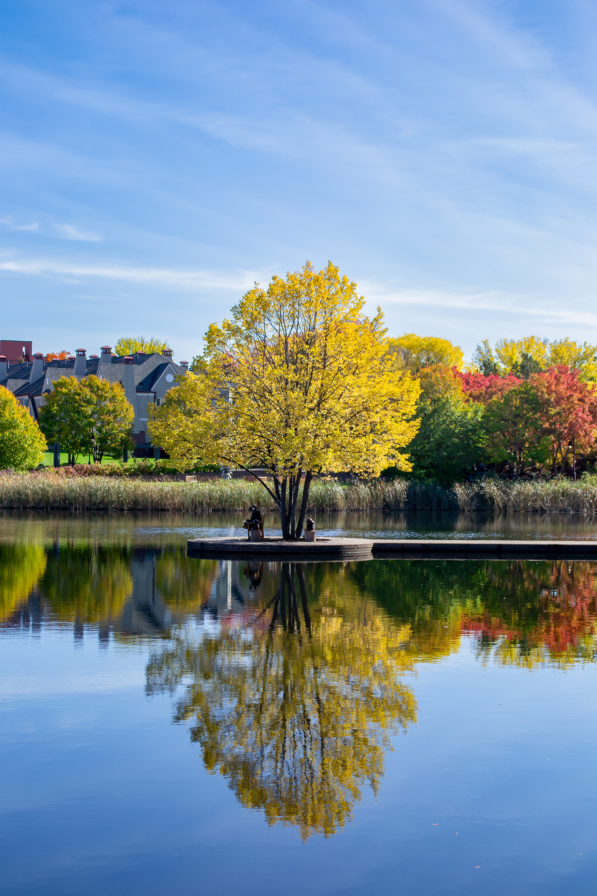 Centennial Lakes Park