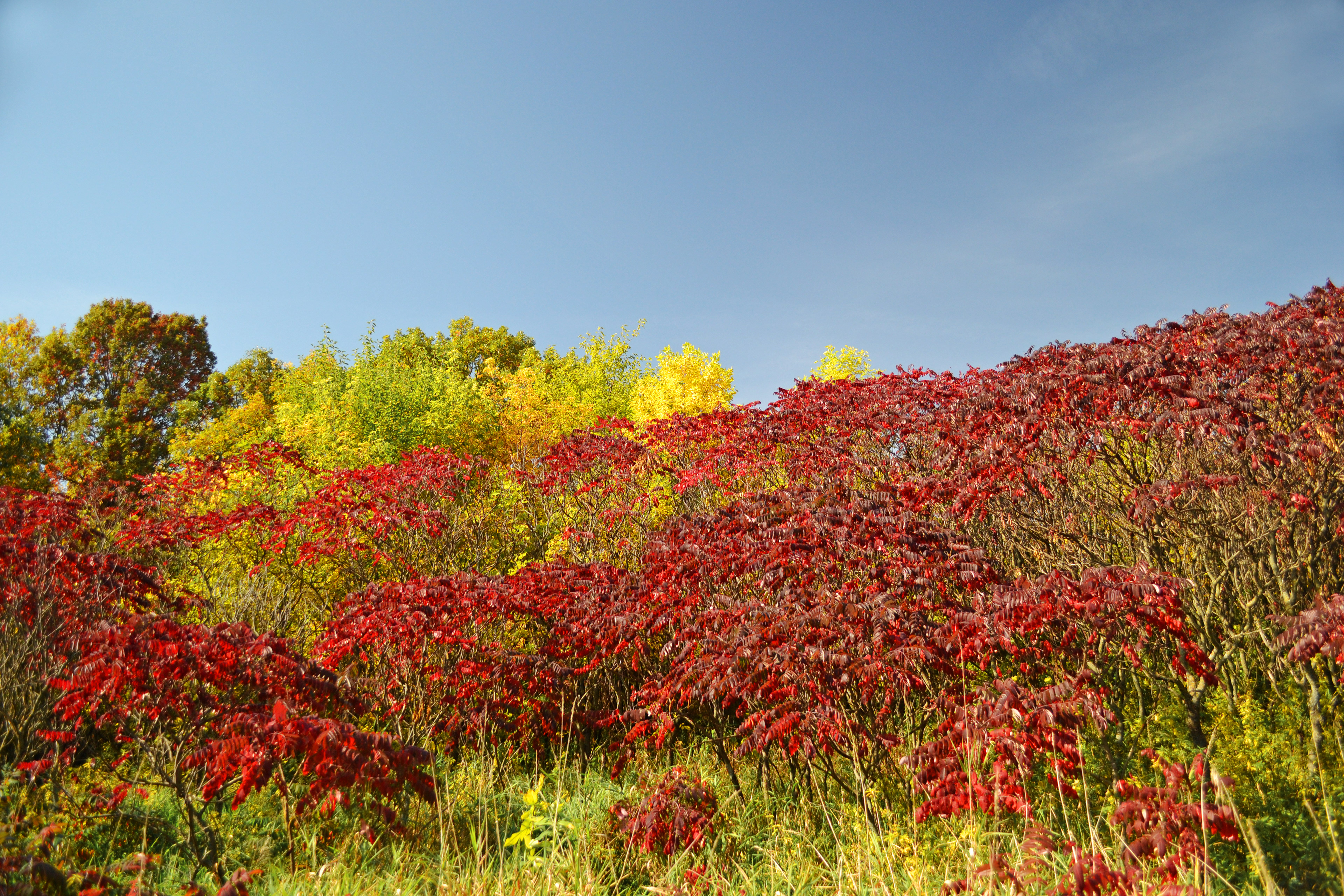 Murphy-Hanrehan Park Reserve
