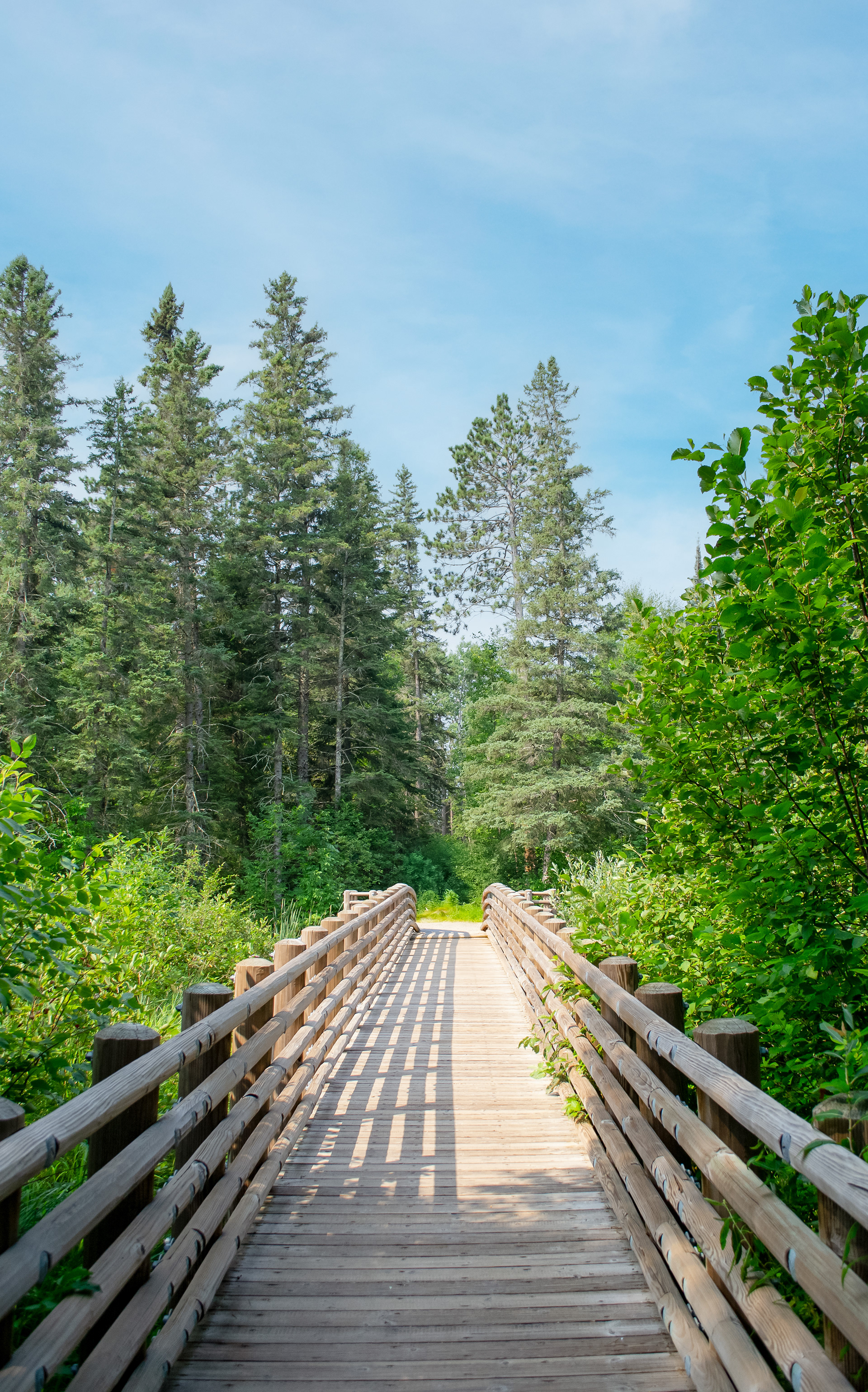 Itasca State Park.