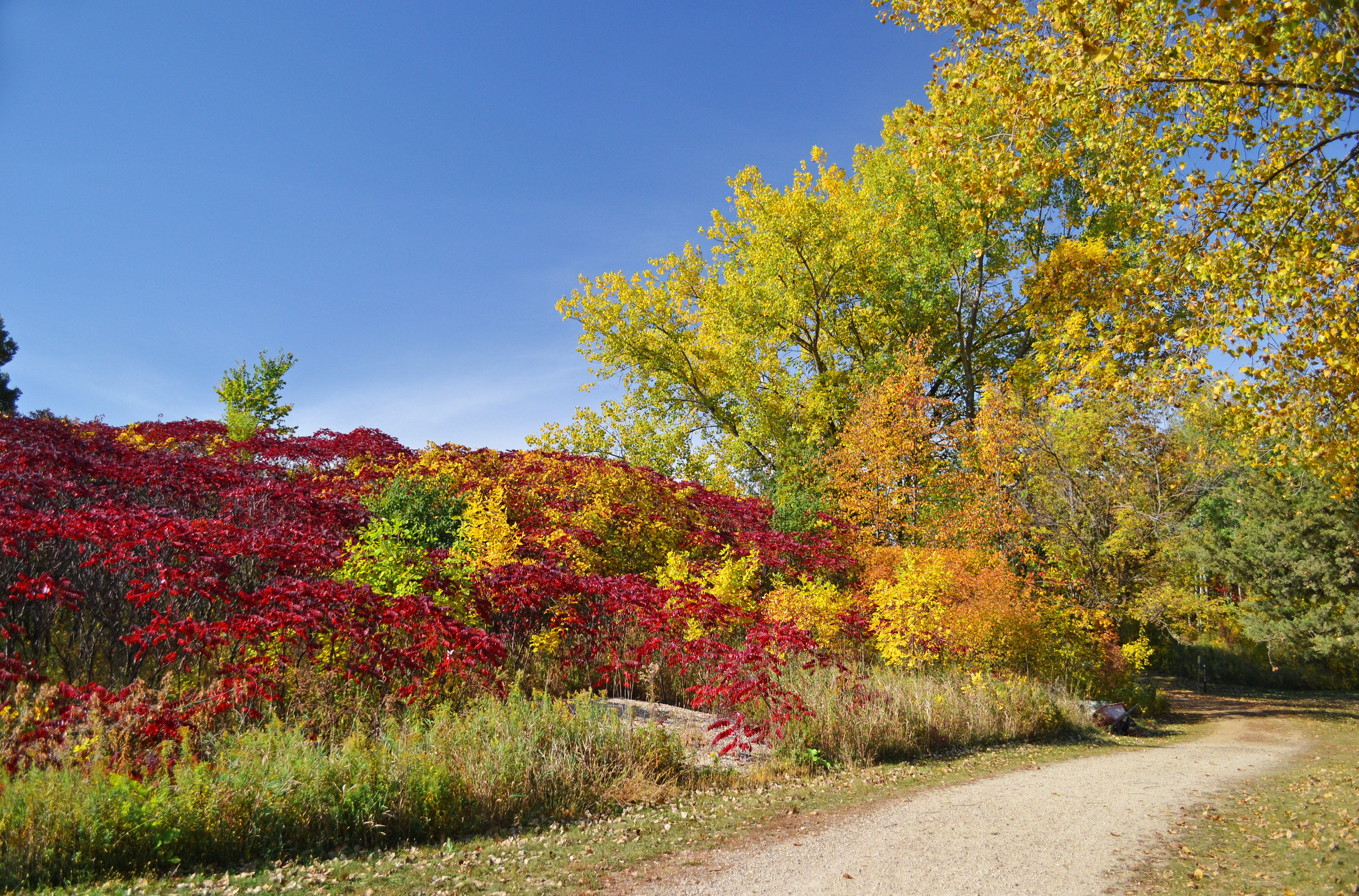 Murphy-Hanrehan Park Reserve
