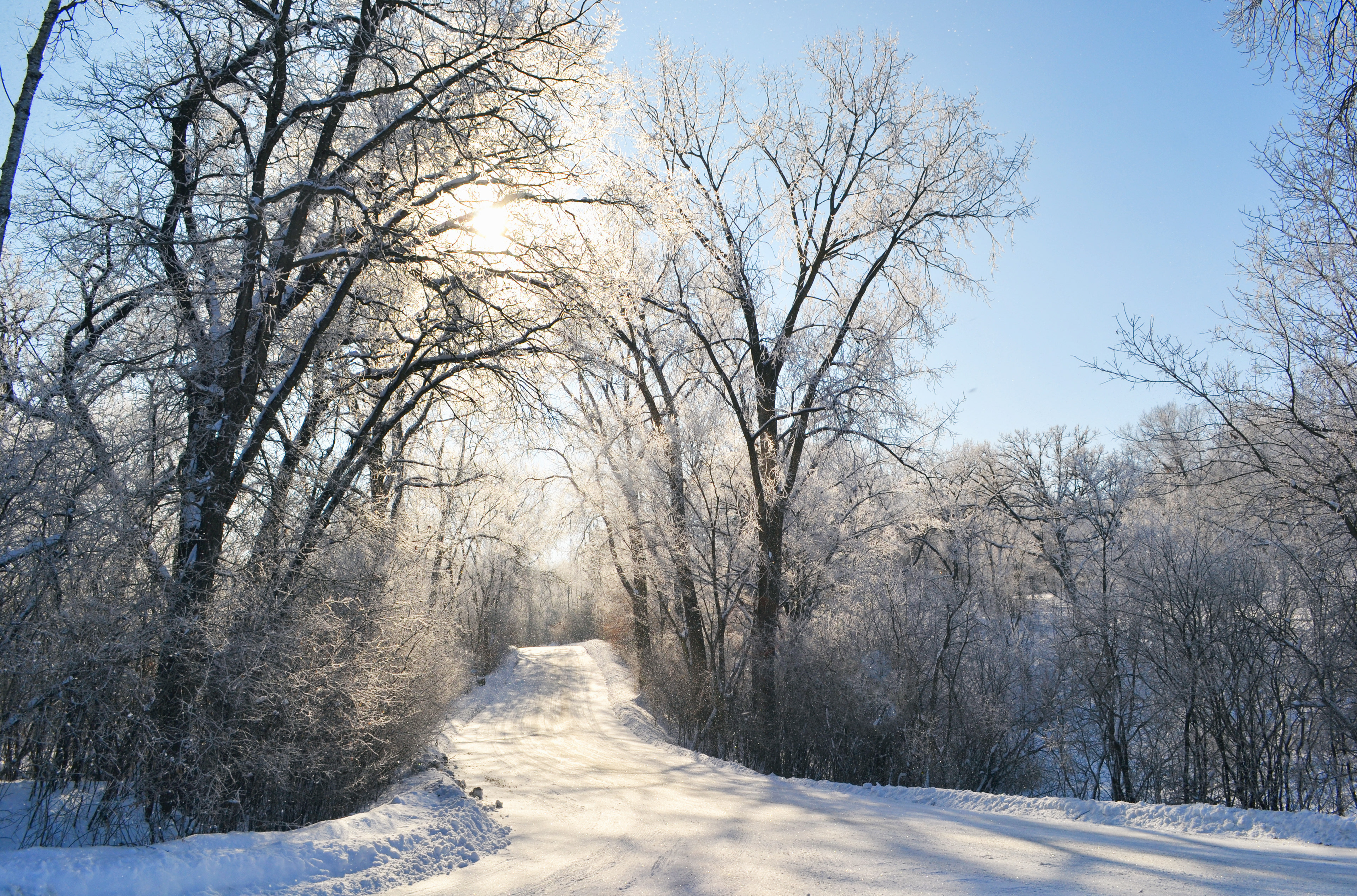 Murphy-Hanrehan Park Reserve