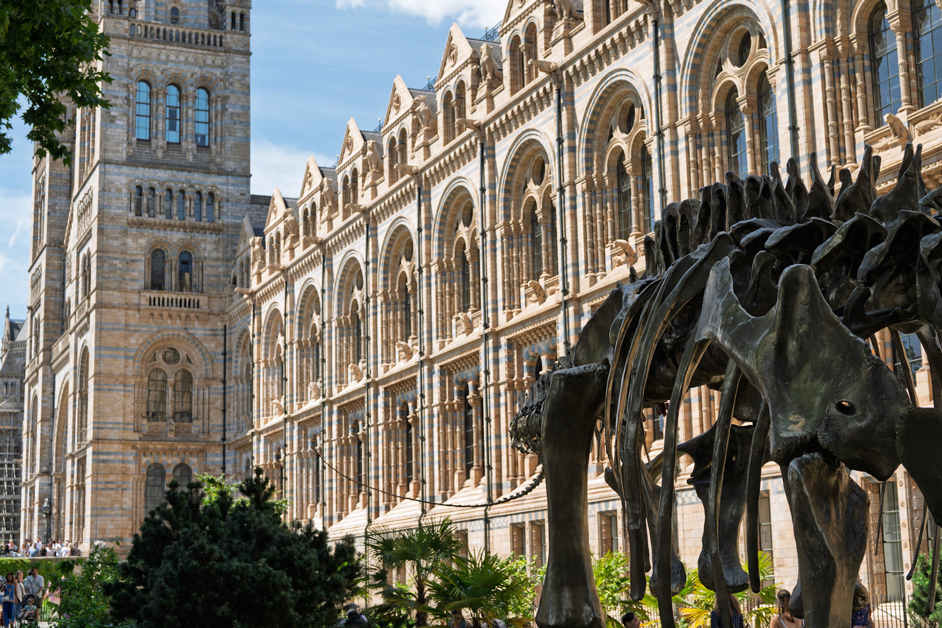 Natural History Museum