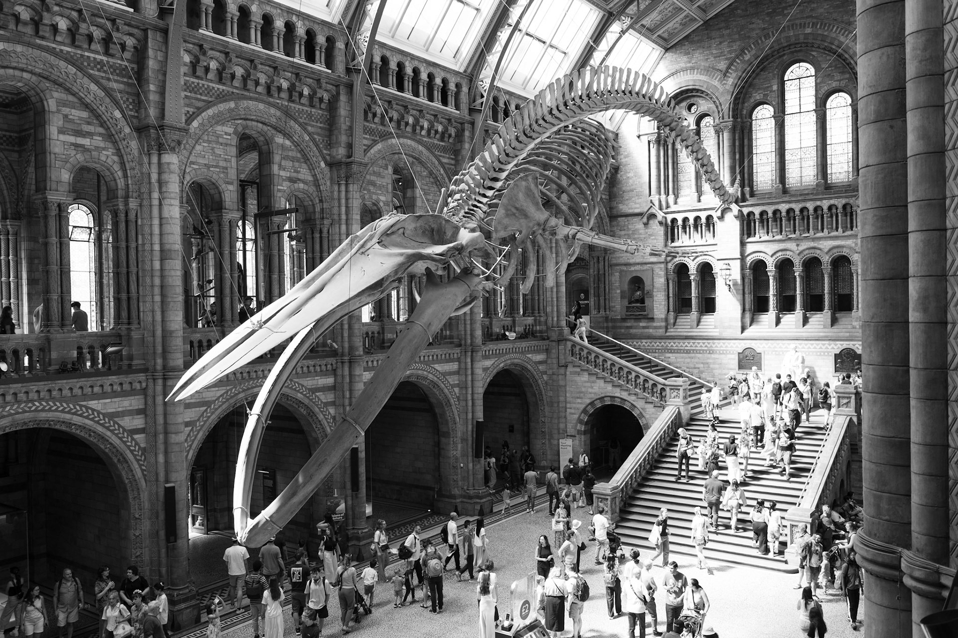 Natural History Museum