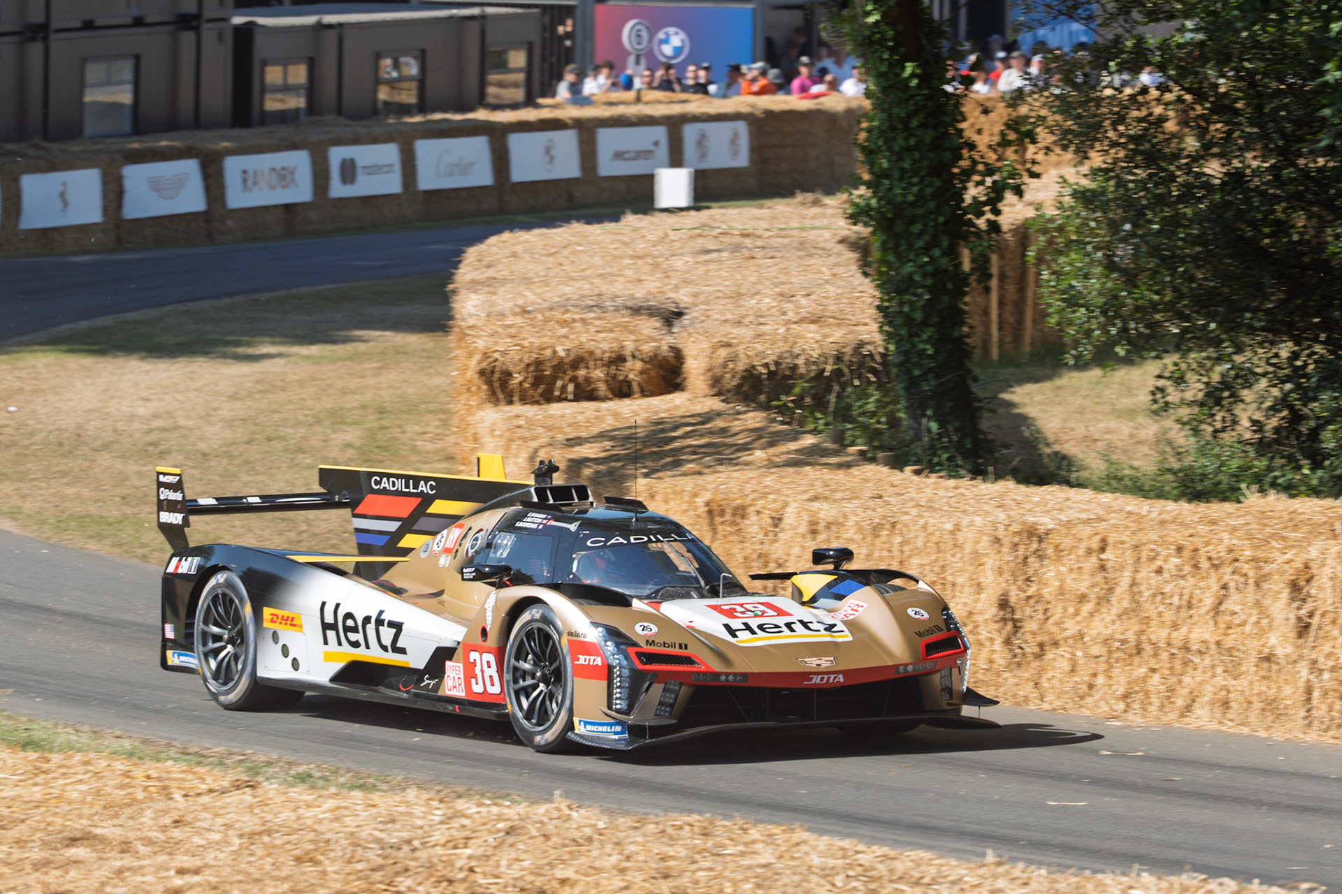 Cadillac Hertz Team JOTA V-Series.R