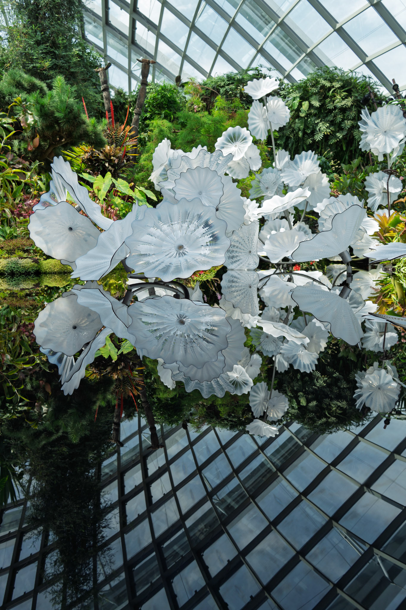 Ethereal White Persians by Dale Chihuly