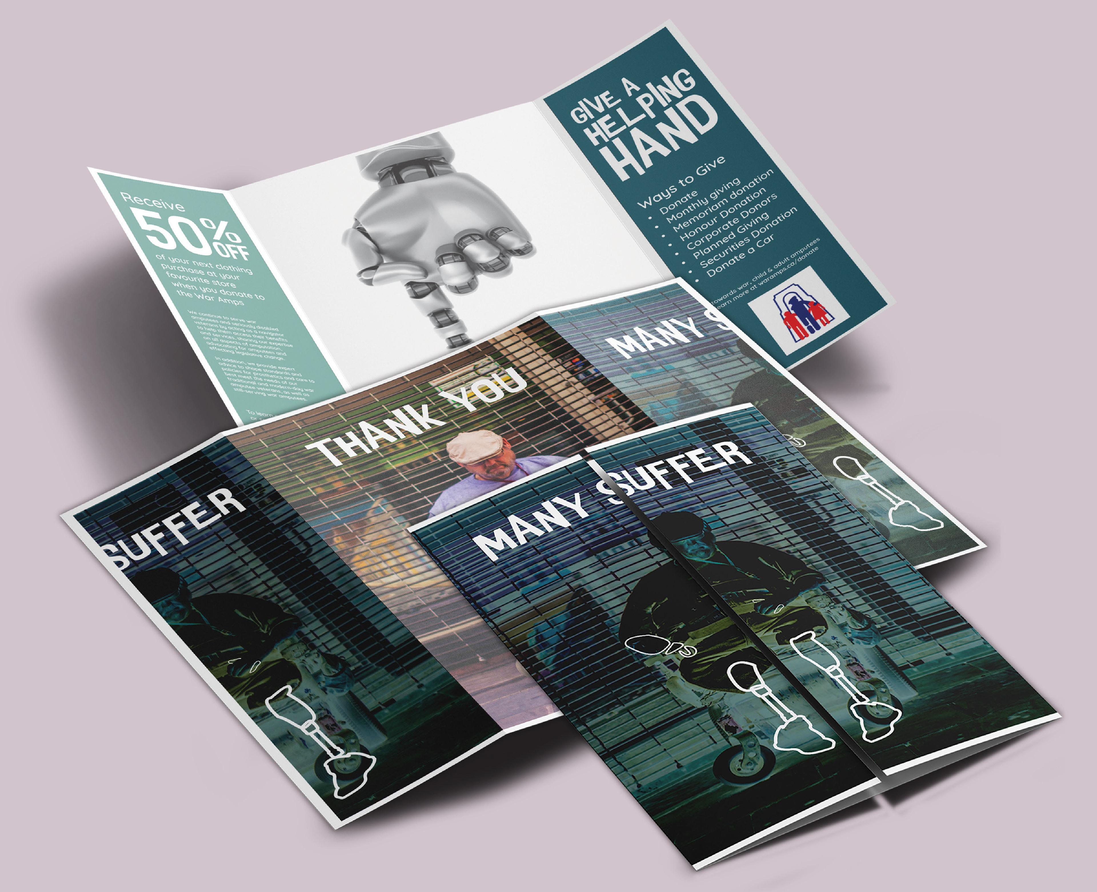 Layout of the War Amps Direct Mail Campaign