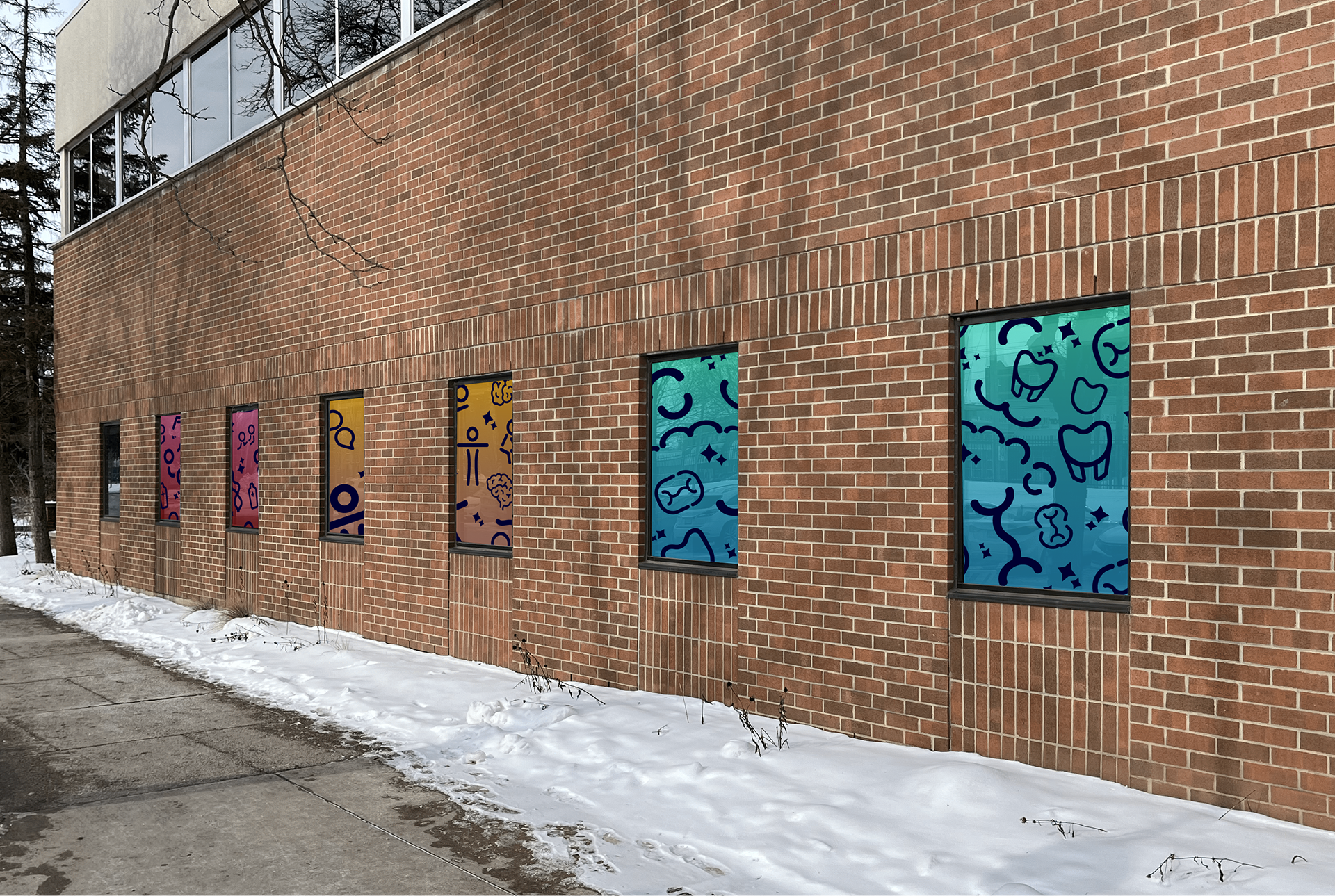 Exterior Clinic Windows