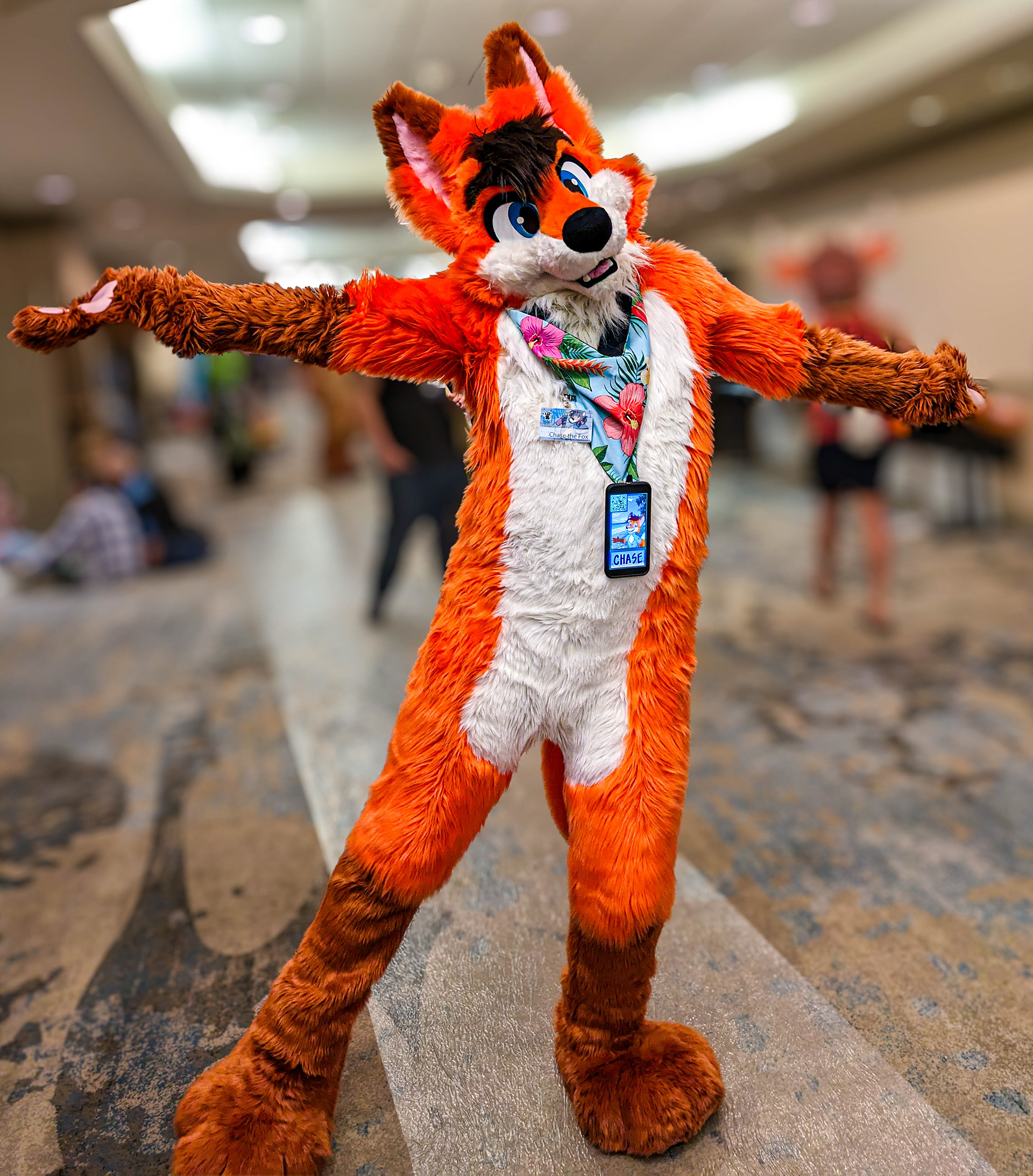 @ChaseTheRedFox