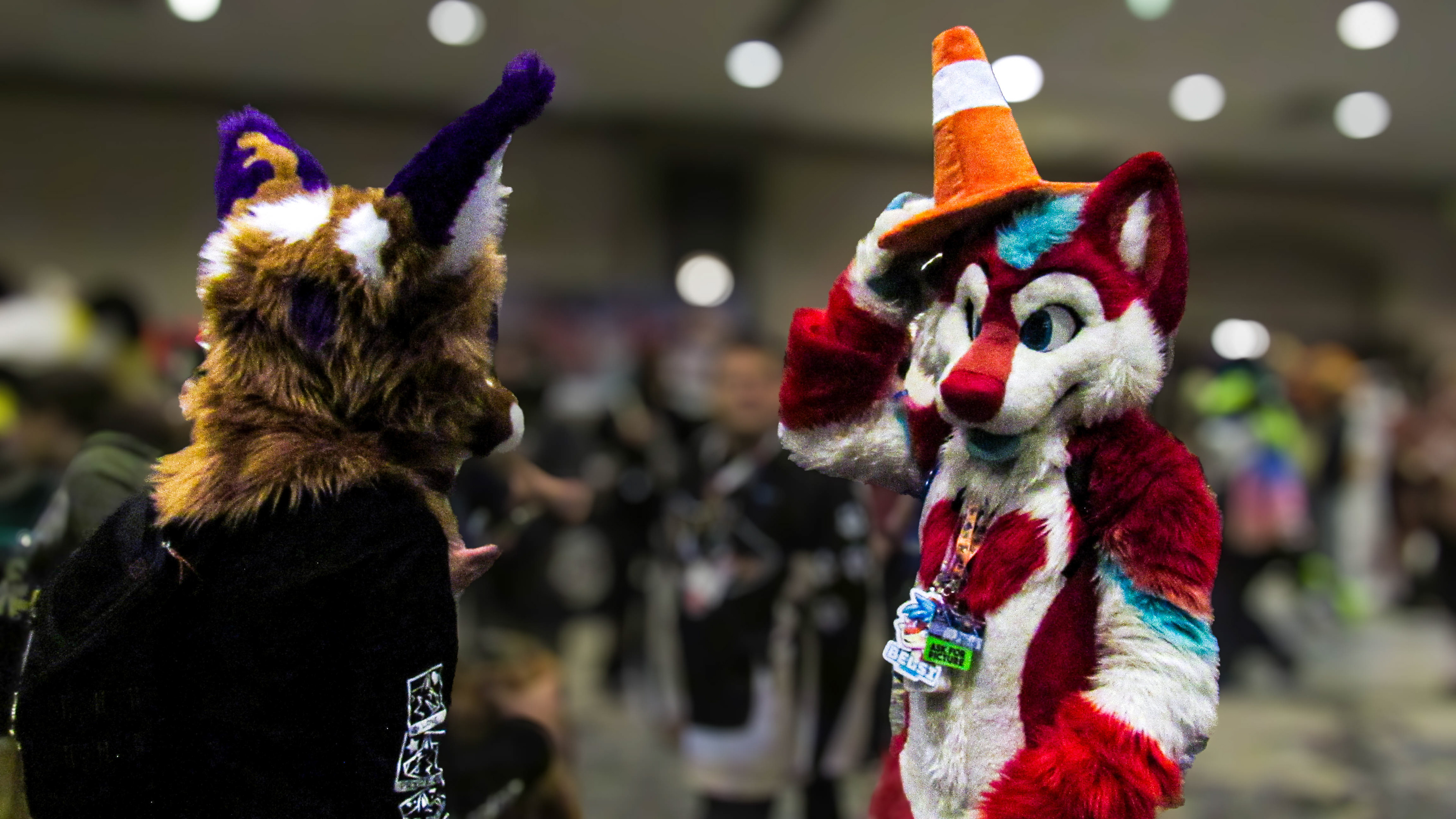@Wotokay_ and @BelsiFox