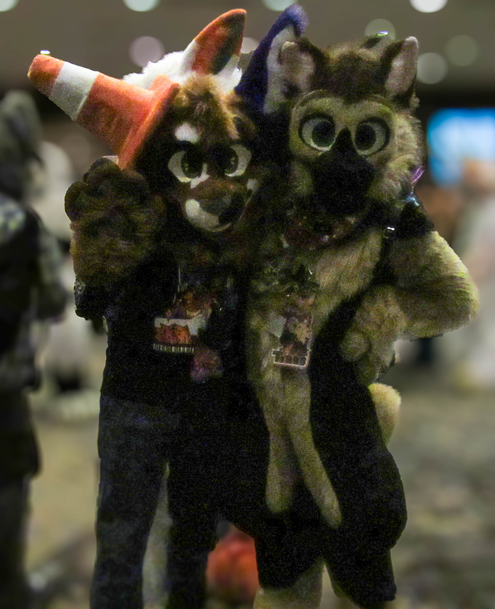 @Wotokay_ and @DogTibbs