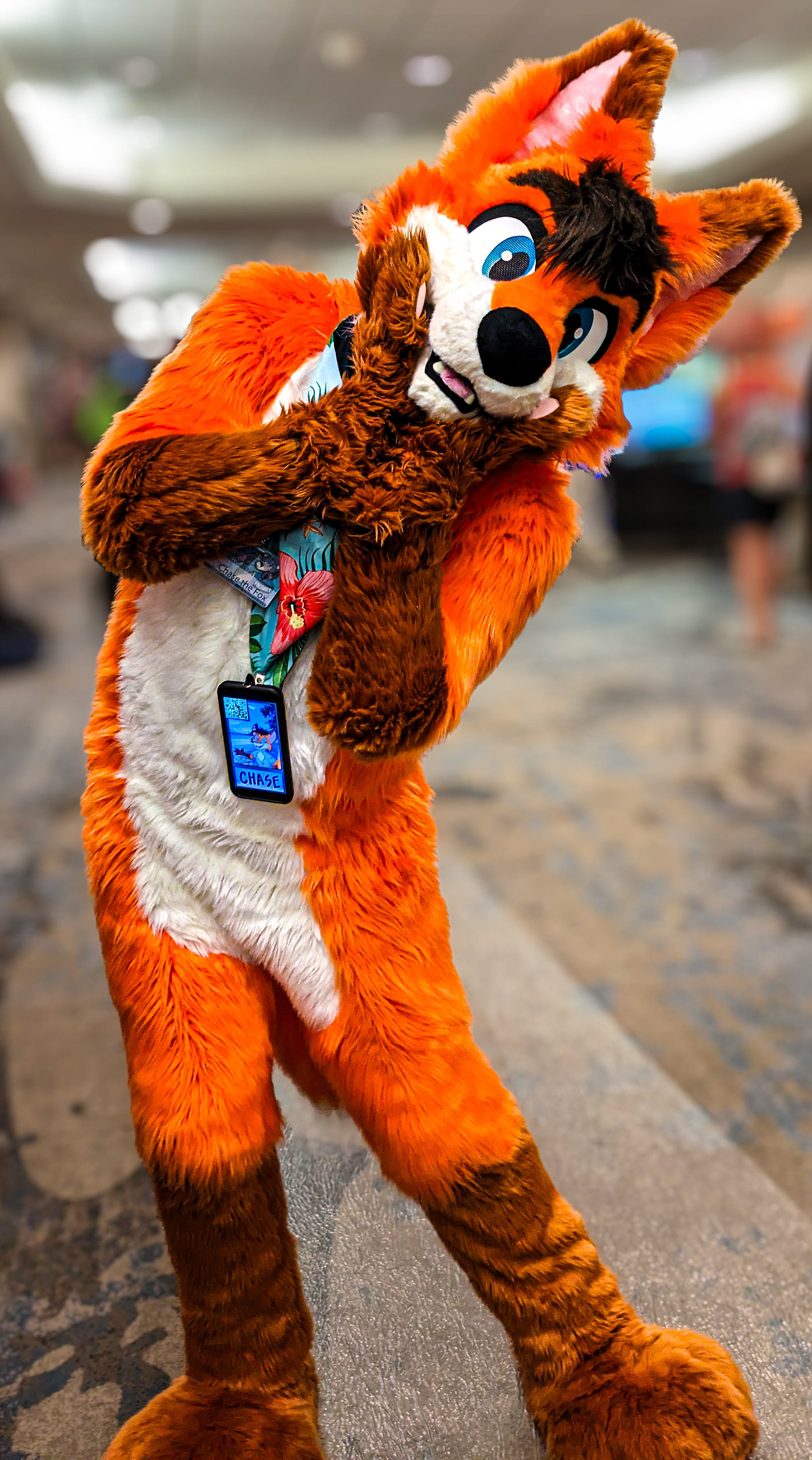 @ChaseTheRedFox