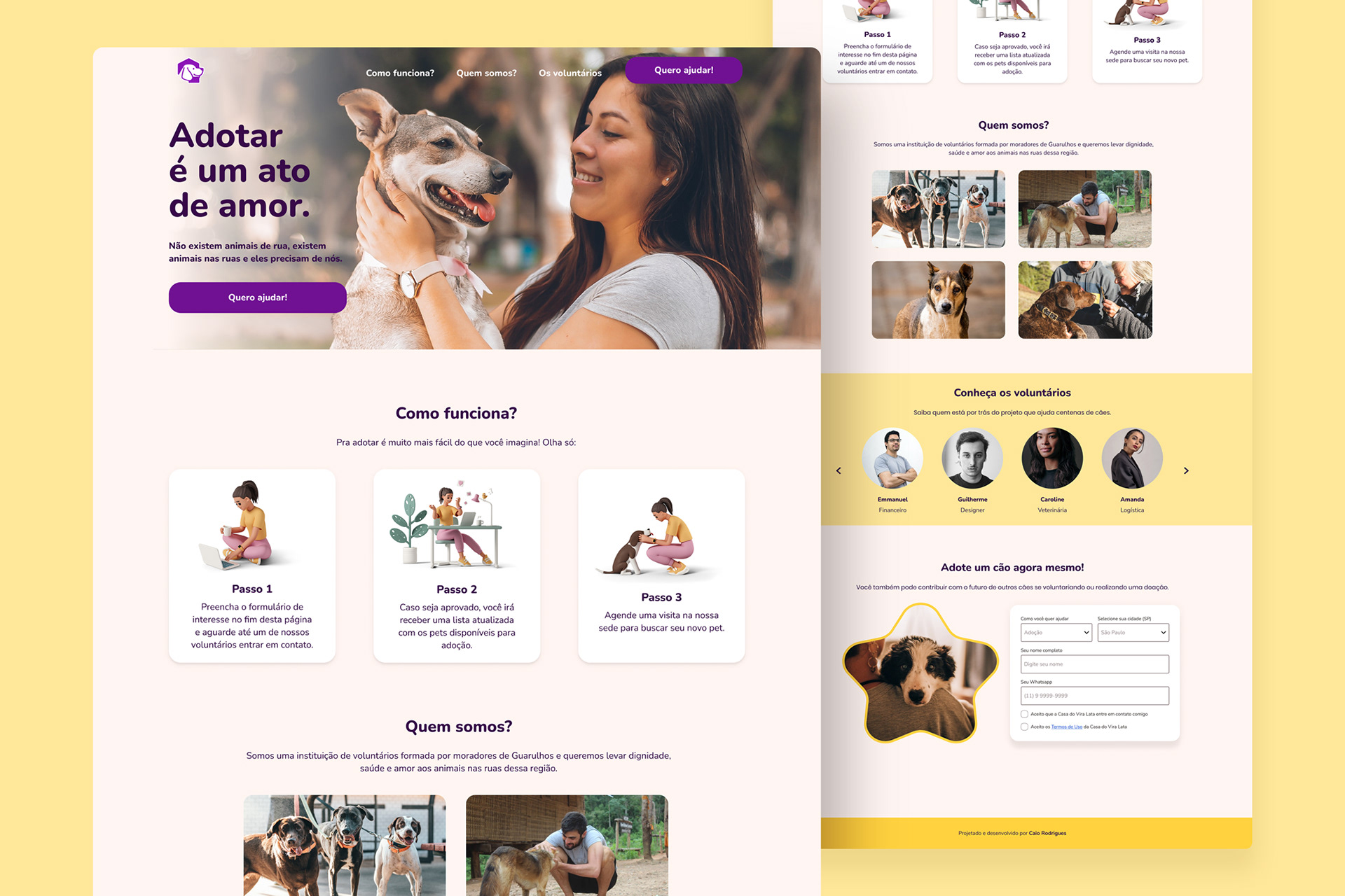 Landing Page Casa do Vira-Lata desktop