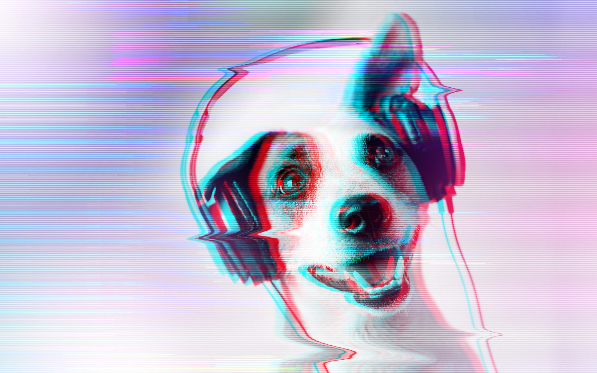 Image may contain: Glitch art dog.