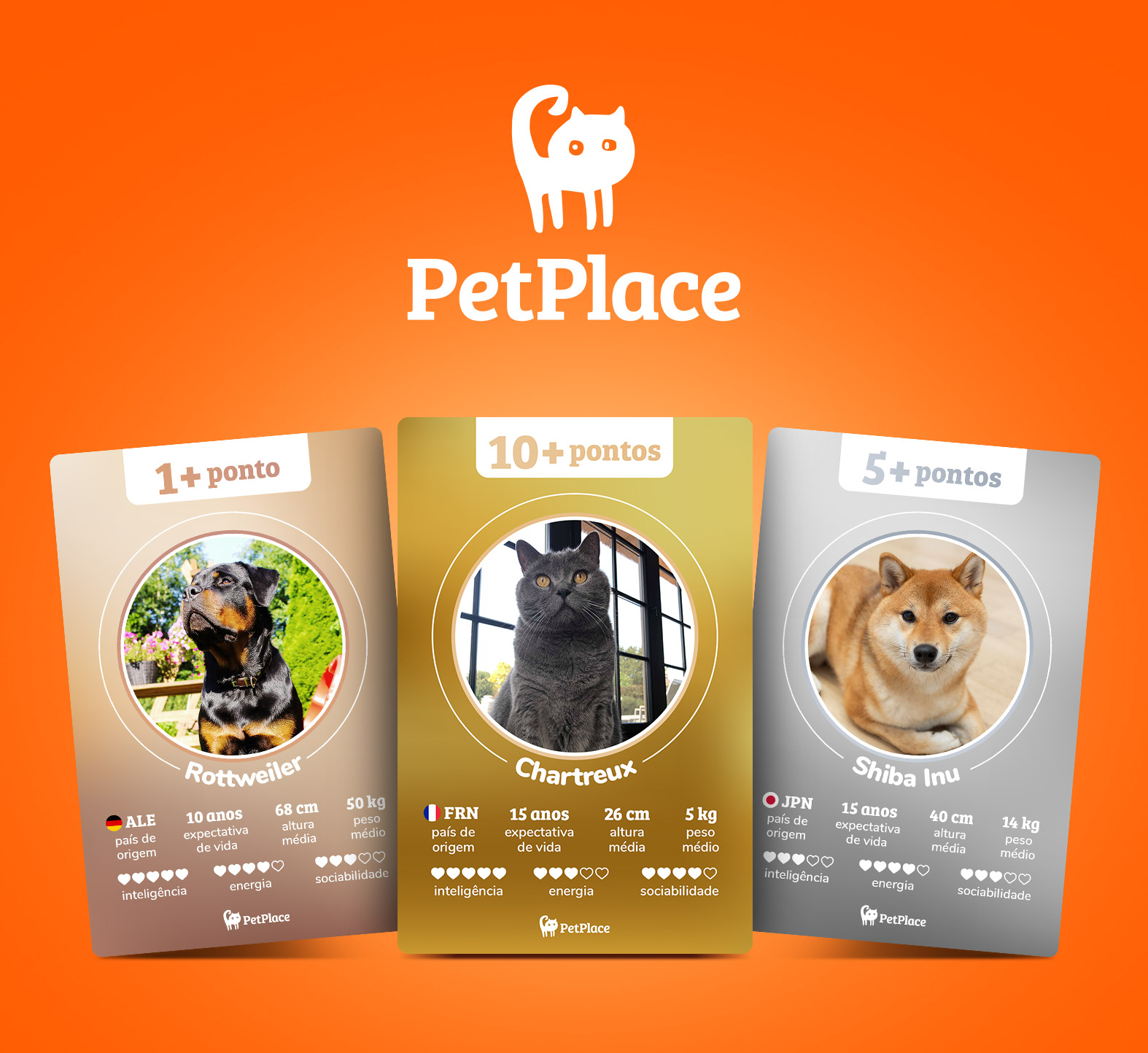 Image may contain: PetPlace aplicativo, cards.