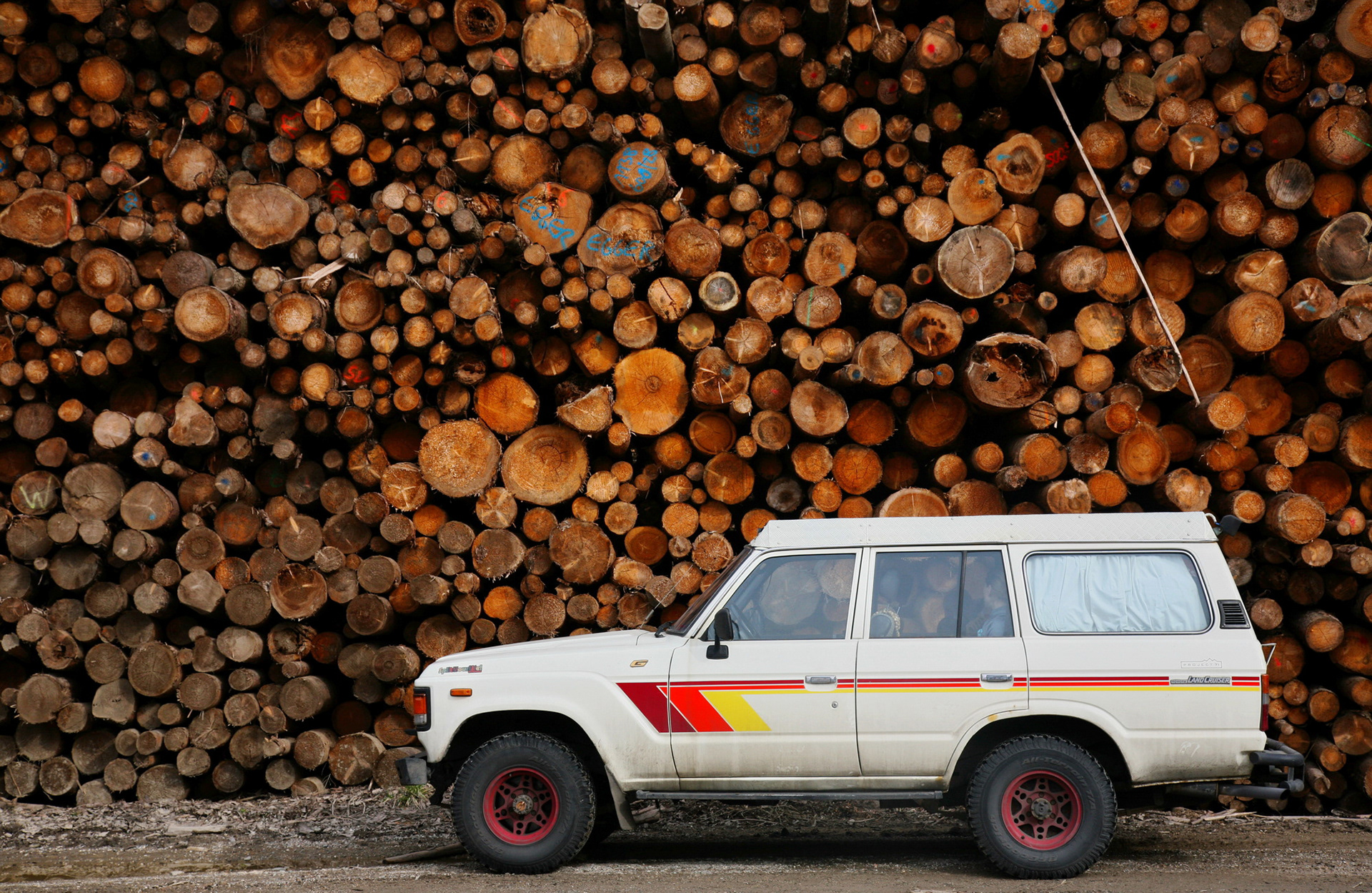 Germany (D) 2016 | our workhorse! :)