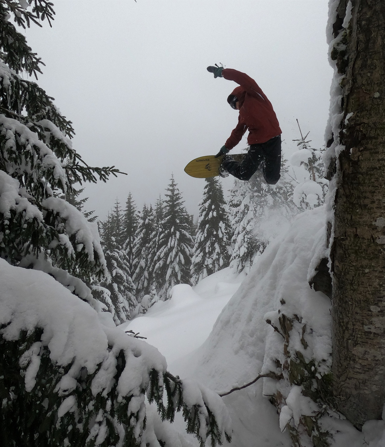 Karkonosze (PL) 2021