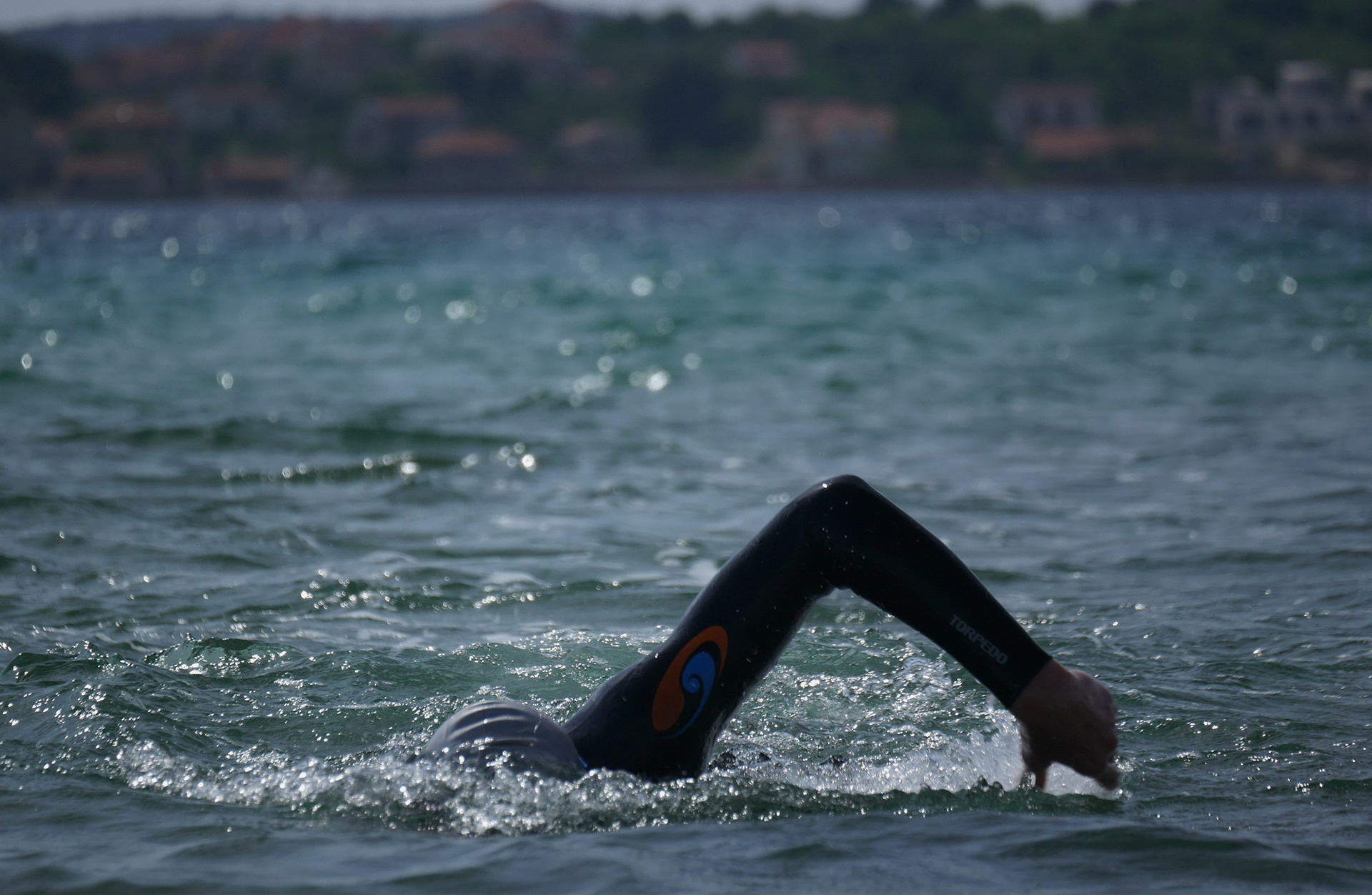 XTRI | 2019