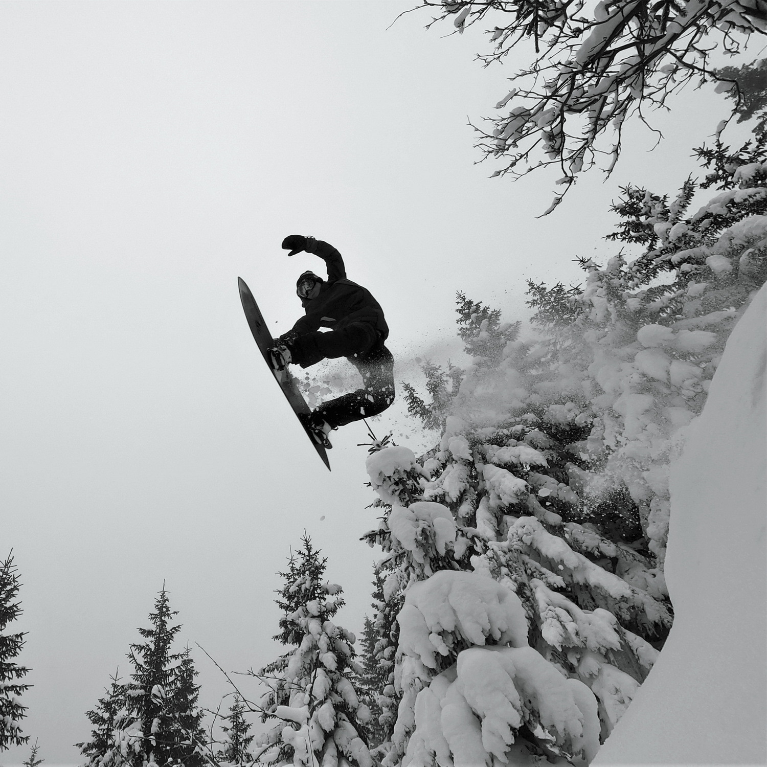 Karkonosze (PL) 2021