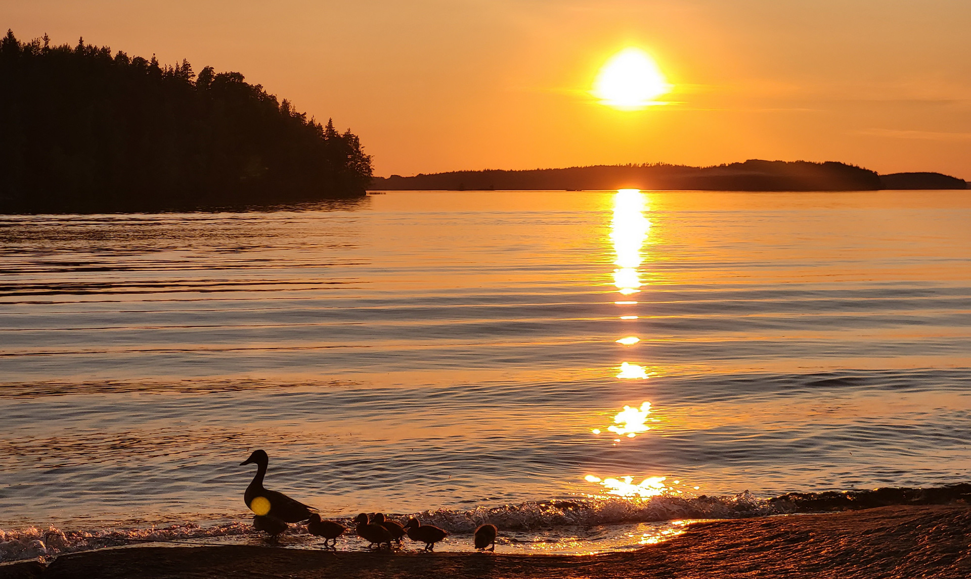 Lake Saima (FI) 2023