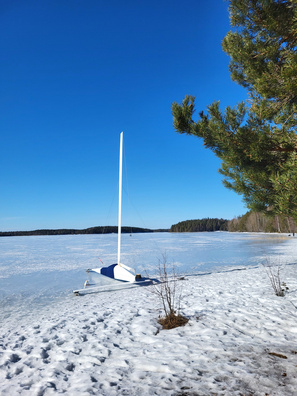 Lake Saima (IS) 2024