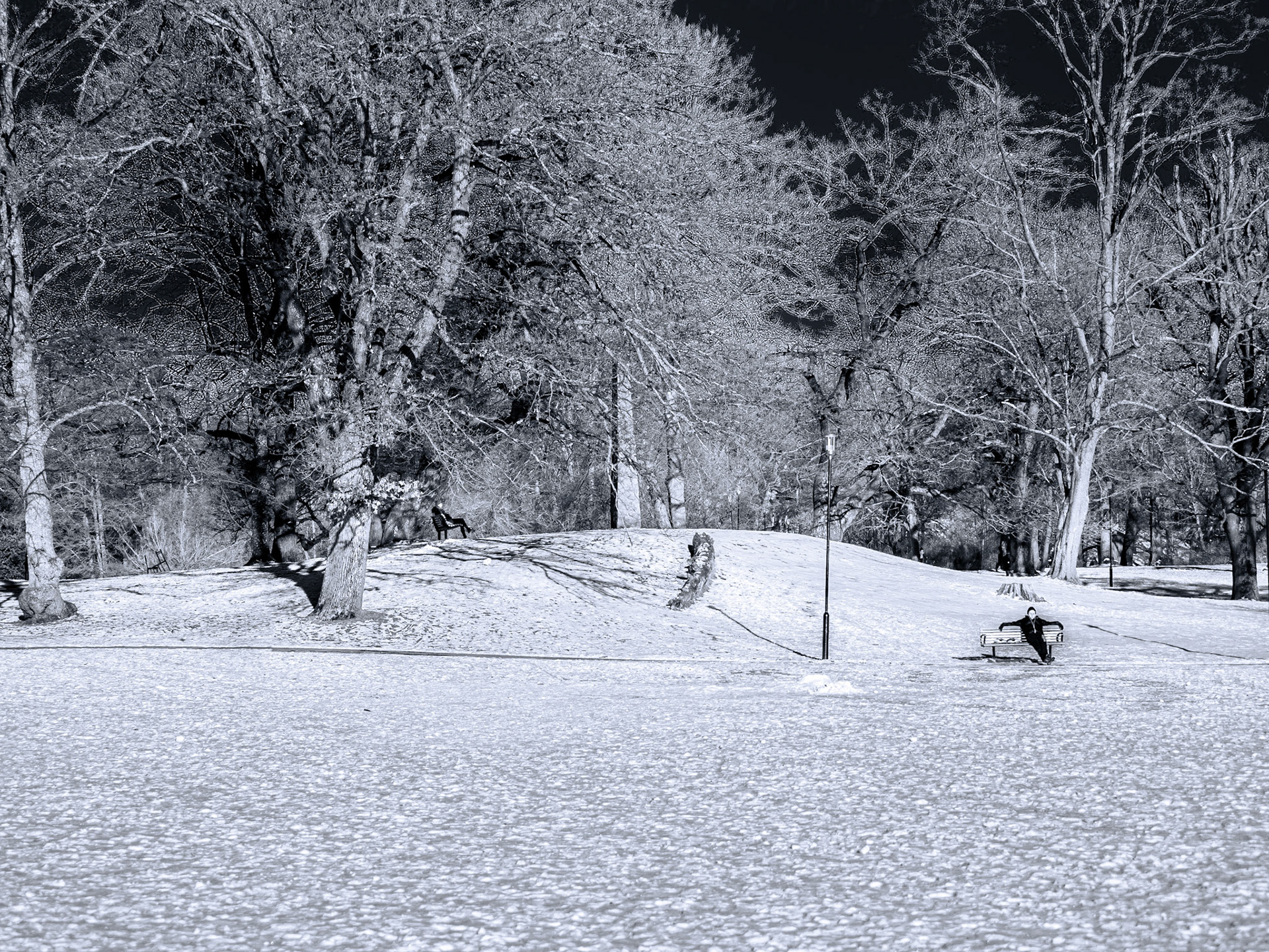 Slottskogen Februari 2021