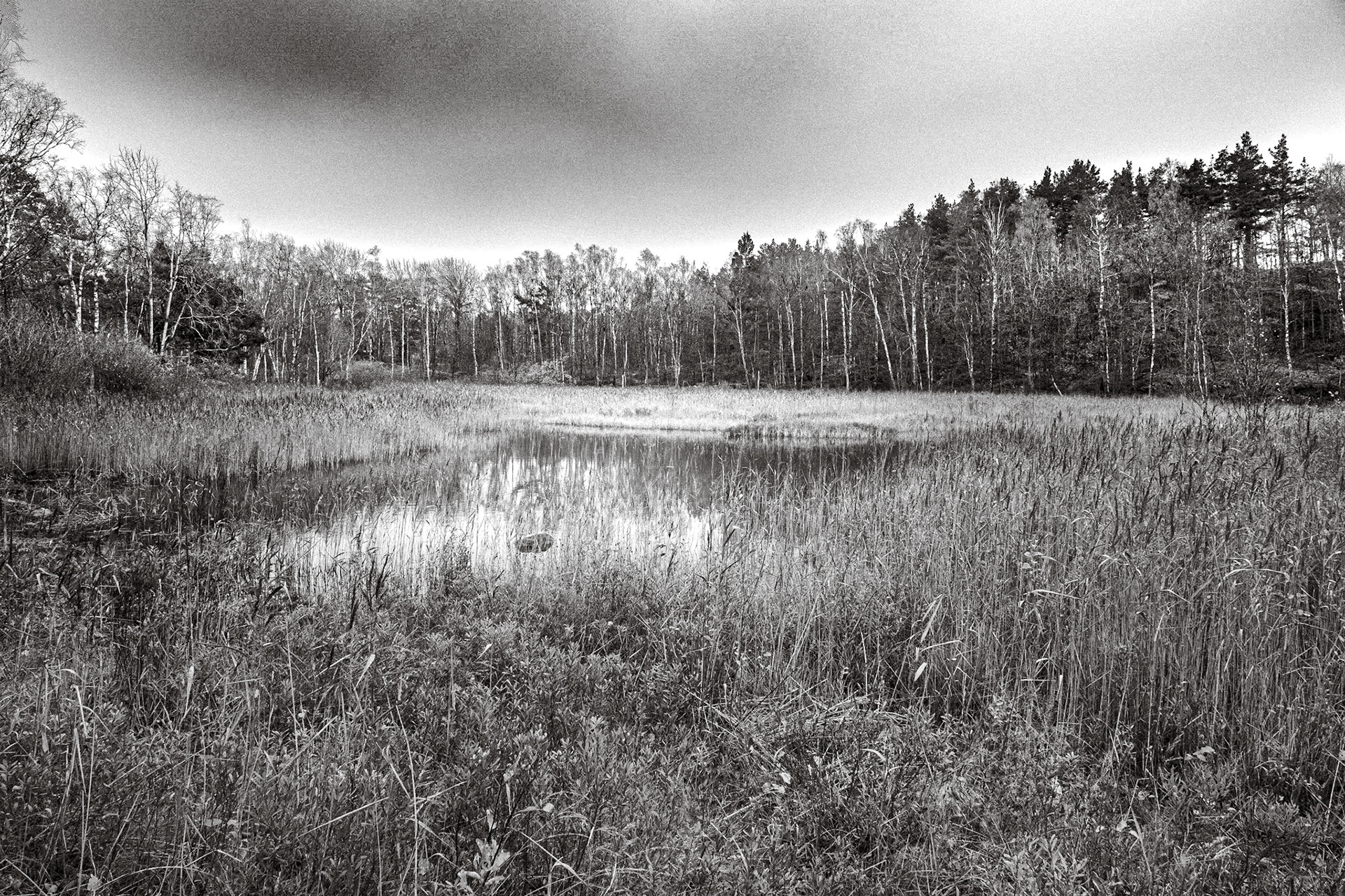 Änggårdsbergen Oktober 2021