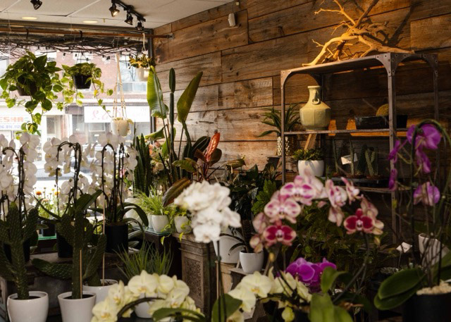 Percy Waters Florist, 1360 Danforth Ave