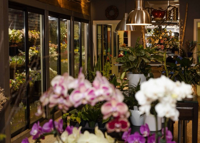 Percy Waters Florist, 1360 Danforth Ave