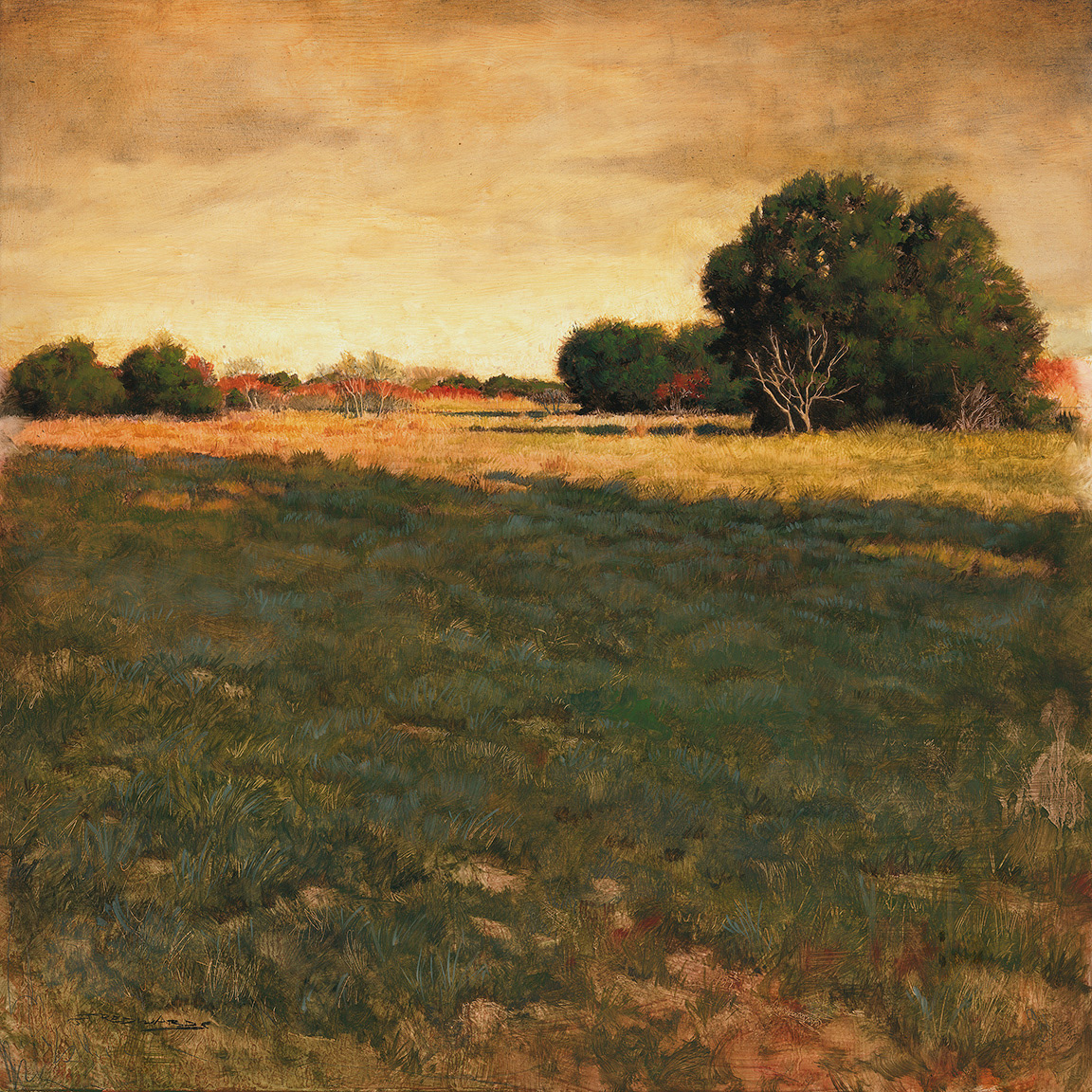 Thin Space 16"x16" Oil on Panel - Awarded "Best Landscape"