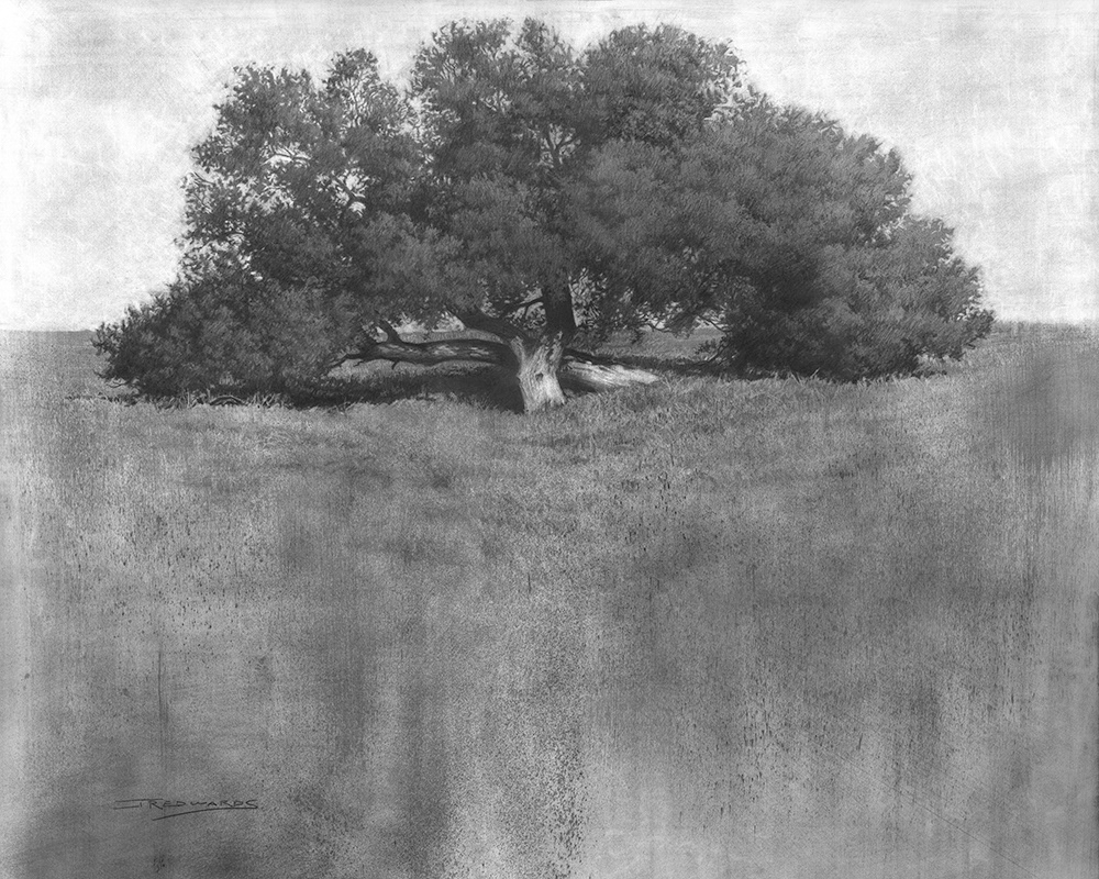 Old Souls 24"x30" Pencil and Charcoal on Paper